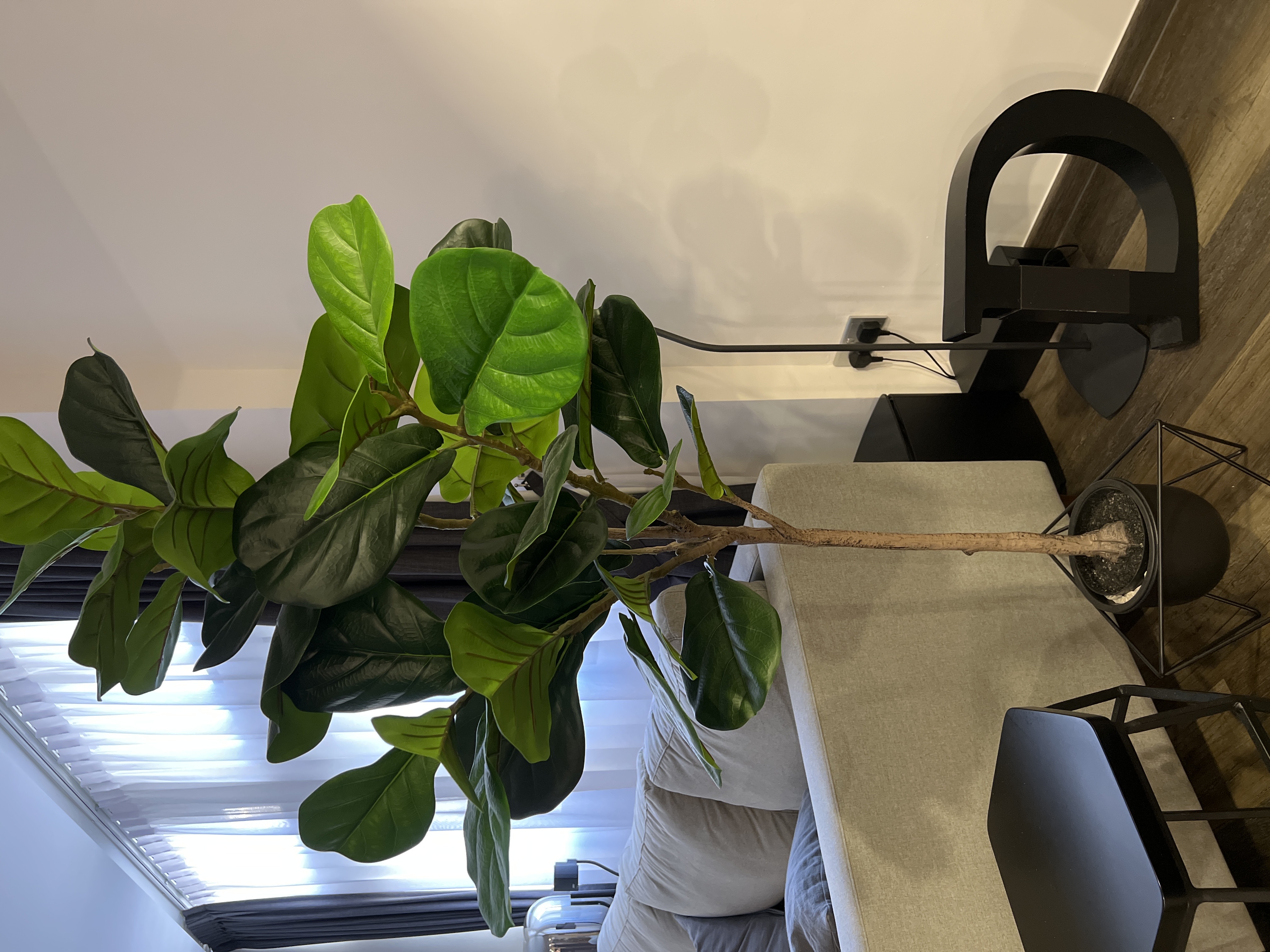 Customer home photo 2: Great product, good value too! Definitely worth looking into if you're in the market for one!