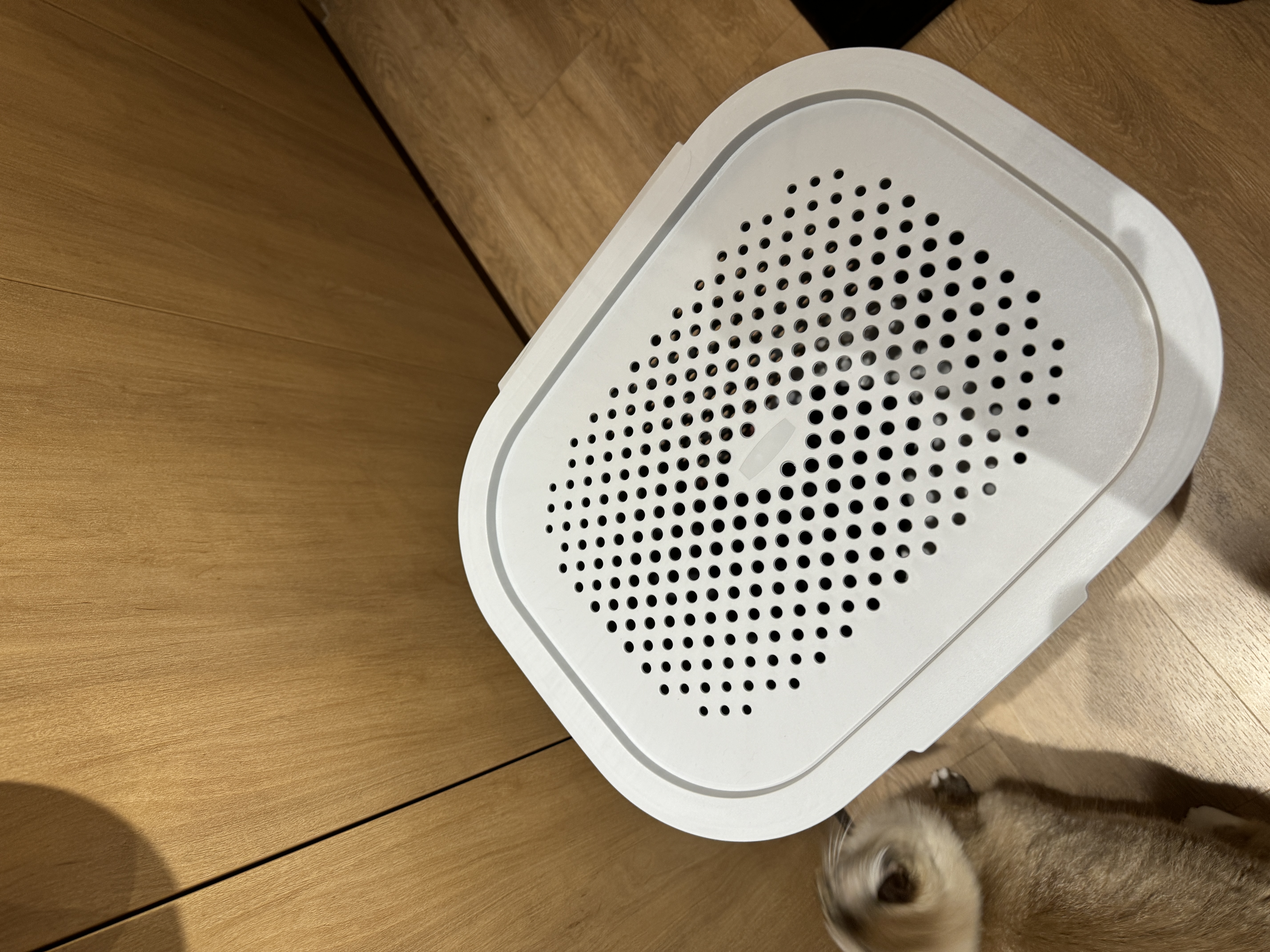 Customer home photo 2: The Infinity Laundry Hamper with Lid in Grey is both stylish and practical. The dotted design adds a subtle touch of pattern to my space, while the neutral grey color blends well with my decor. The lid keeps everything neatly concealed, which is great for maintaining a tidy look. It's also lightweight yet sturdy, making it easy to carry around when it's time to do laundry. Overall, it's a functional and attractive addition to my home, and I'm very satisfied with it. Highly recommend!