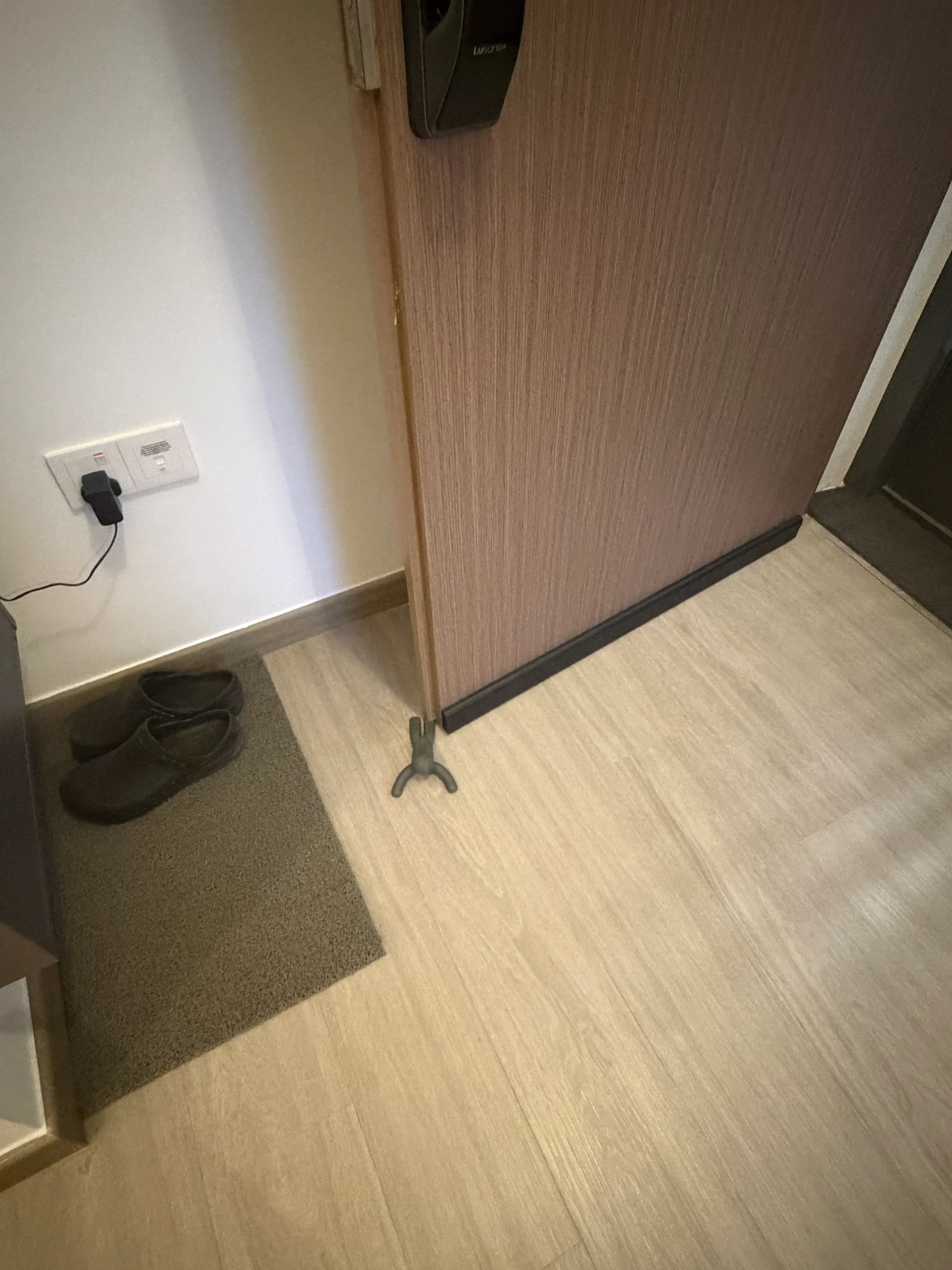 Customer home photo 2: This door step is so cute! I love the buddy series from umbra