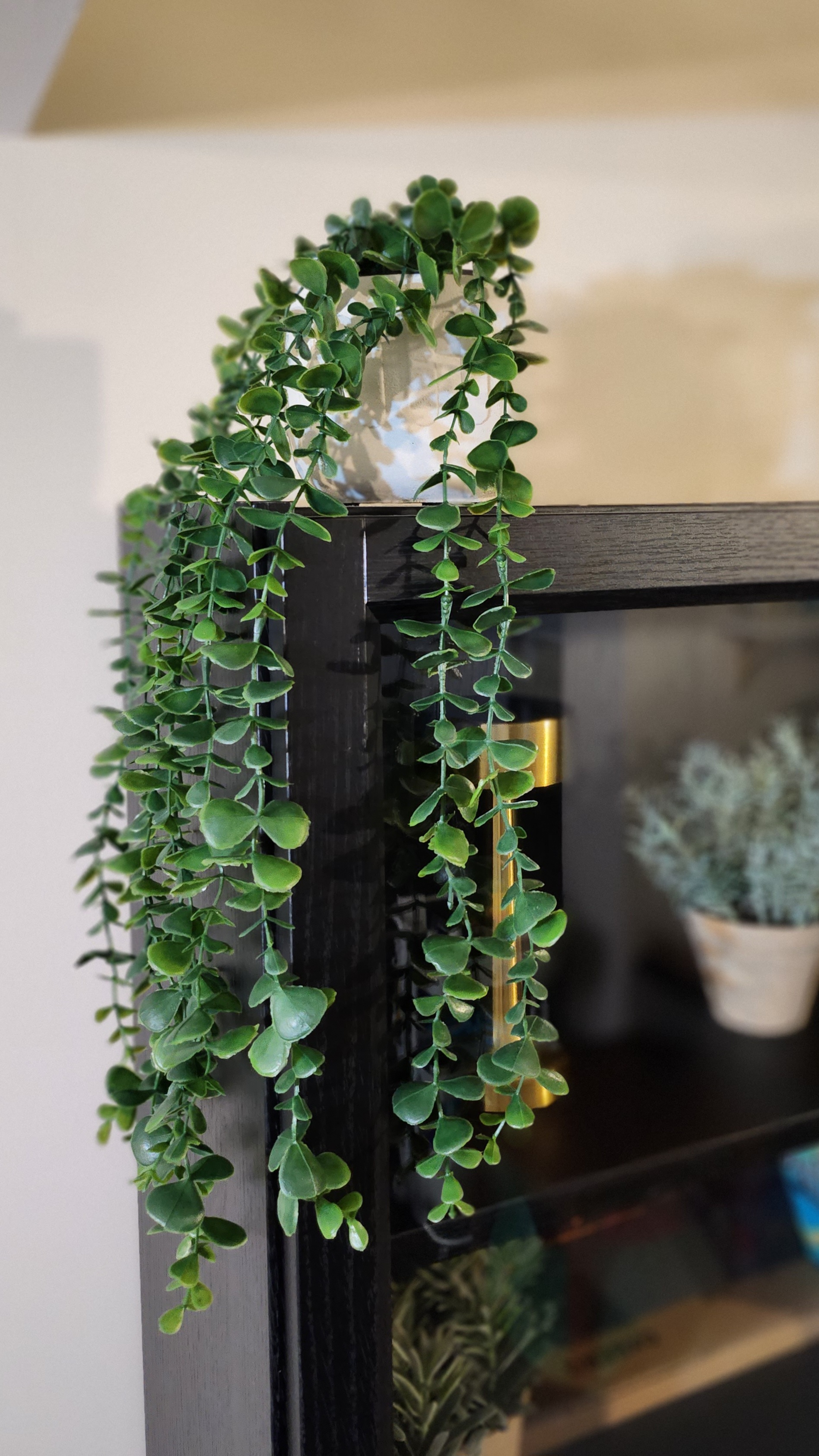 Customer home photo 4: Nice green decoration to be placed on top of my book case.