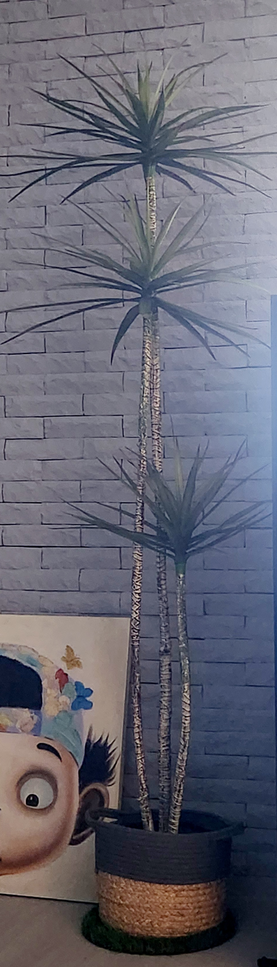 Customer home photo 10: Goes very well with the living room aesthetics.