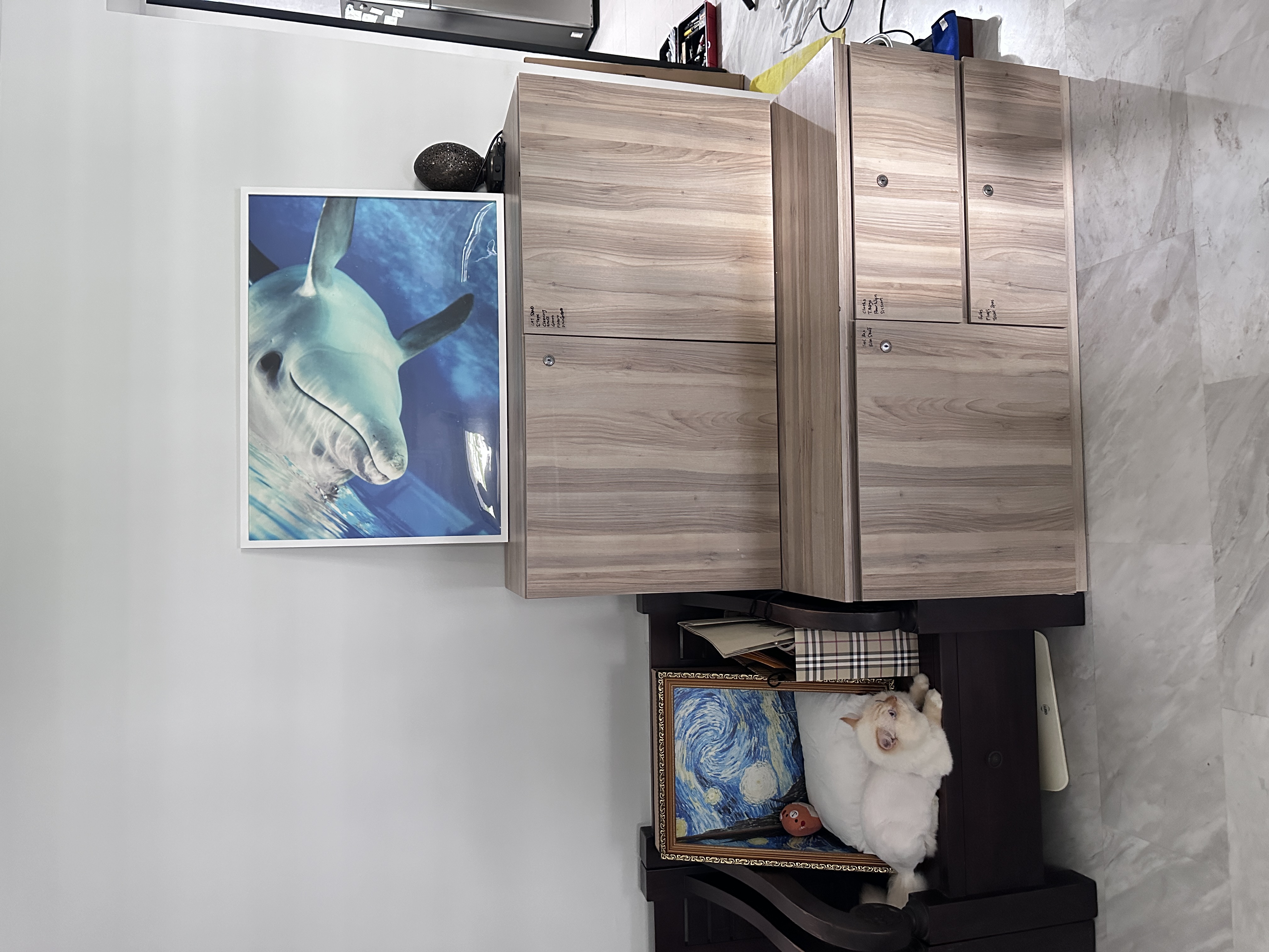 A1 Size Wooden Frame - White