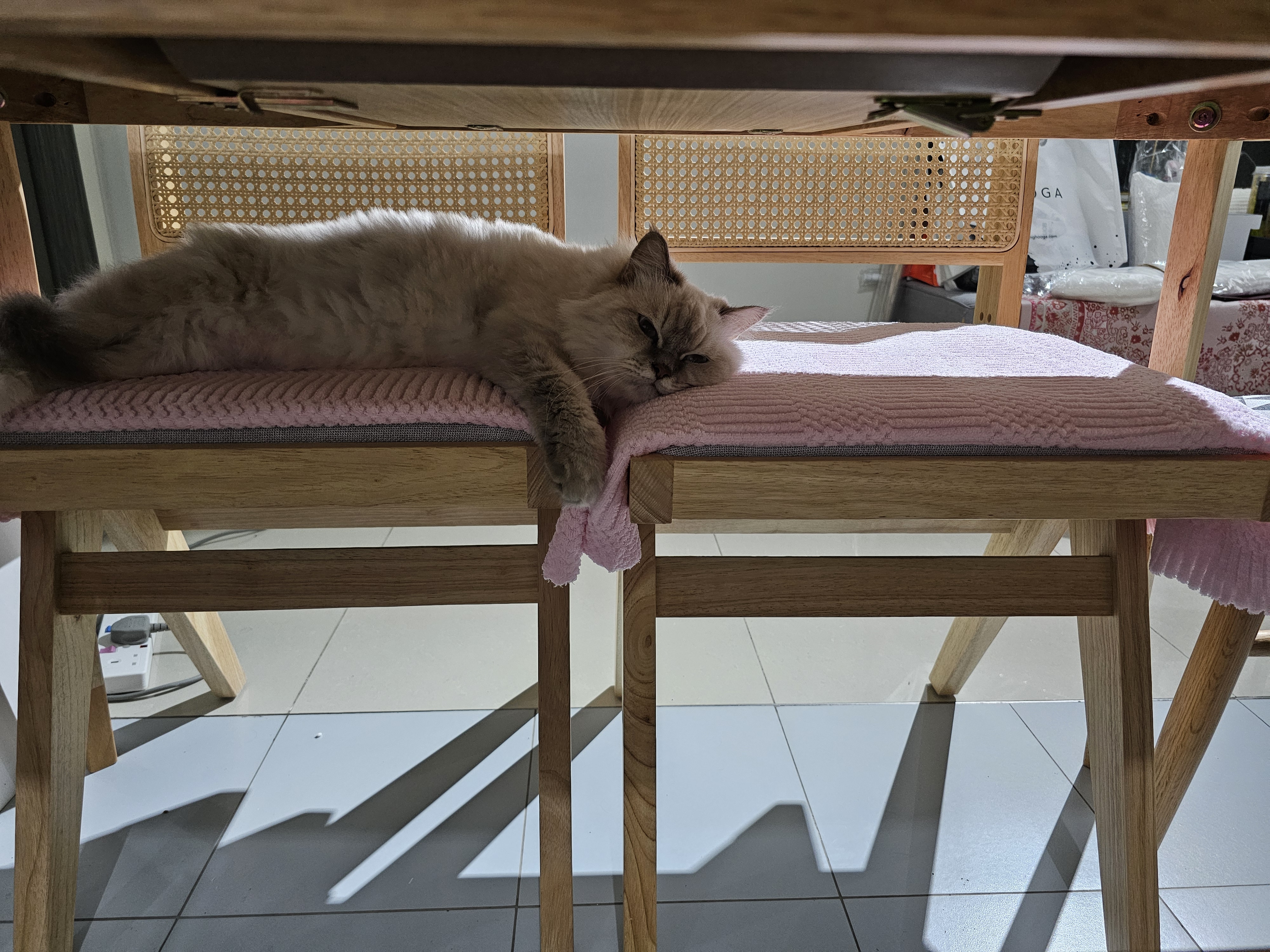 Customer home photo 2: Comfortable seating - our fur baby approved!
