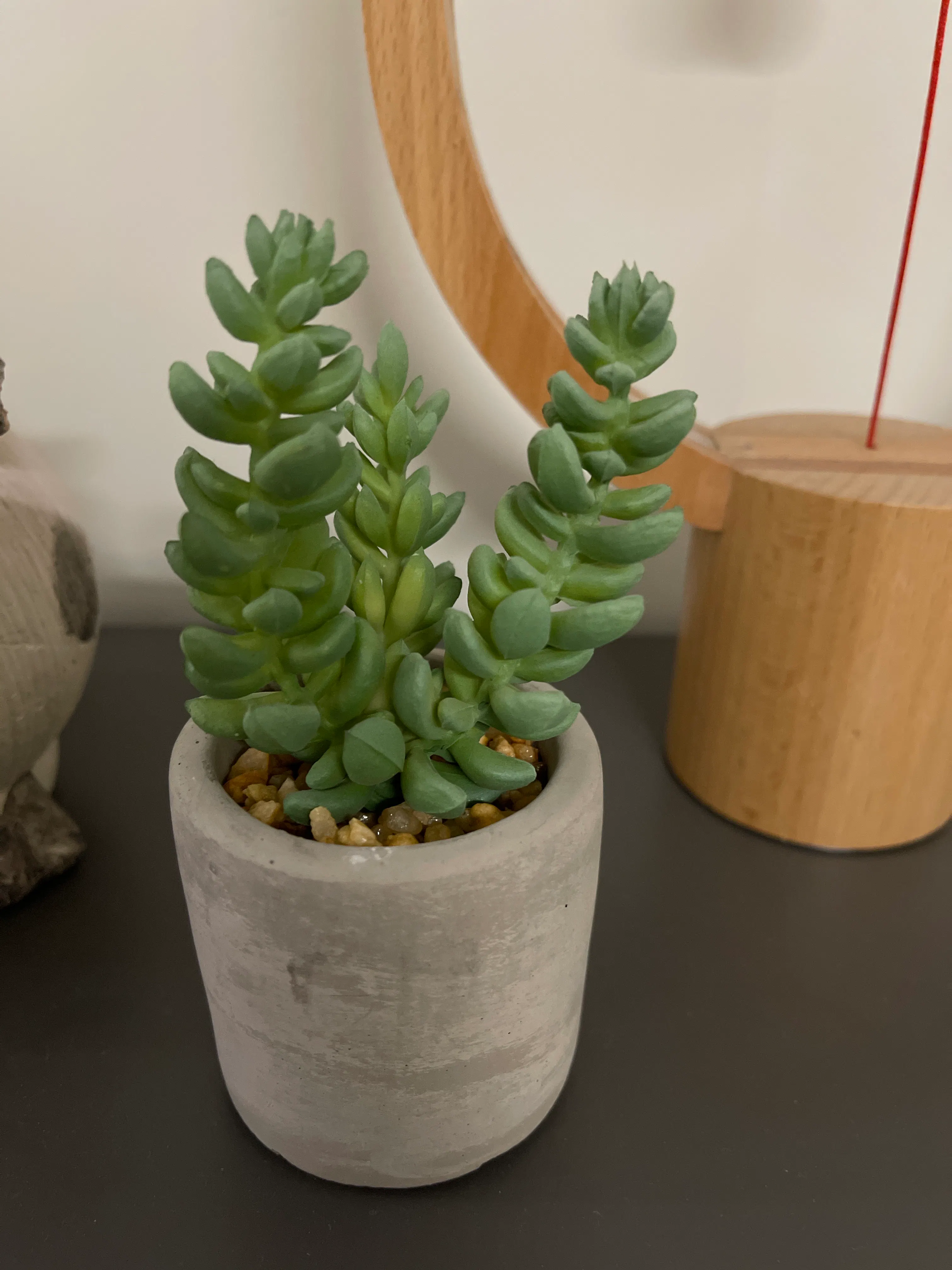 Customer home photo 5: Add some greenery to the house.