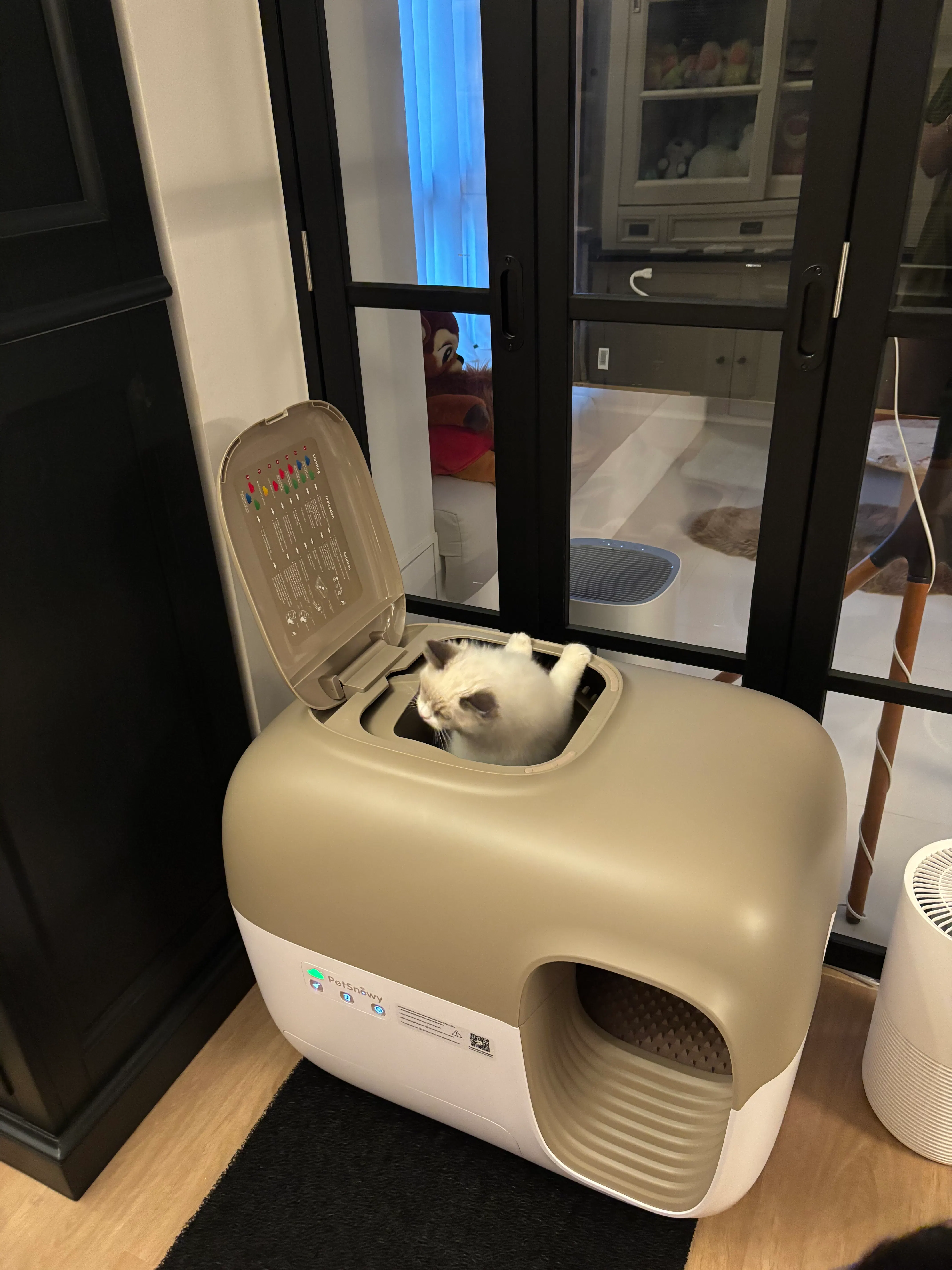 Customer home photo 2: My ragdoll kitten  just arrived on Sunday and he absolutely loves it! He wasn’t even afraid to use it from day 1! Thank you