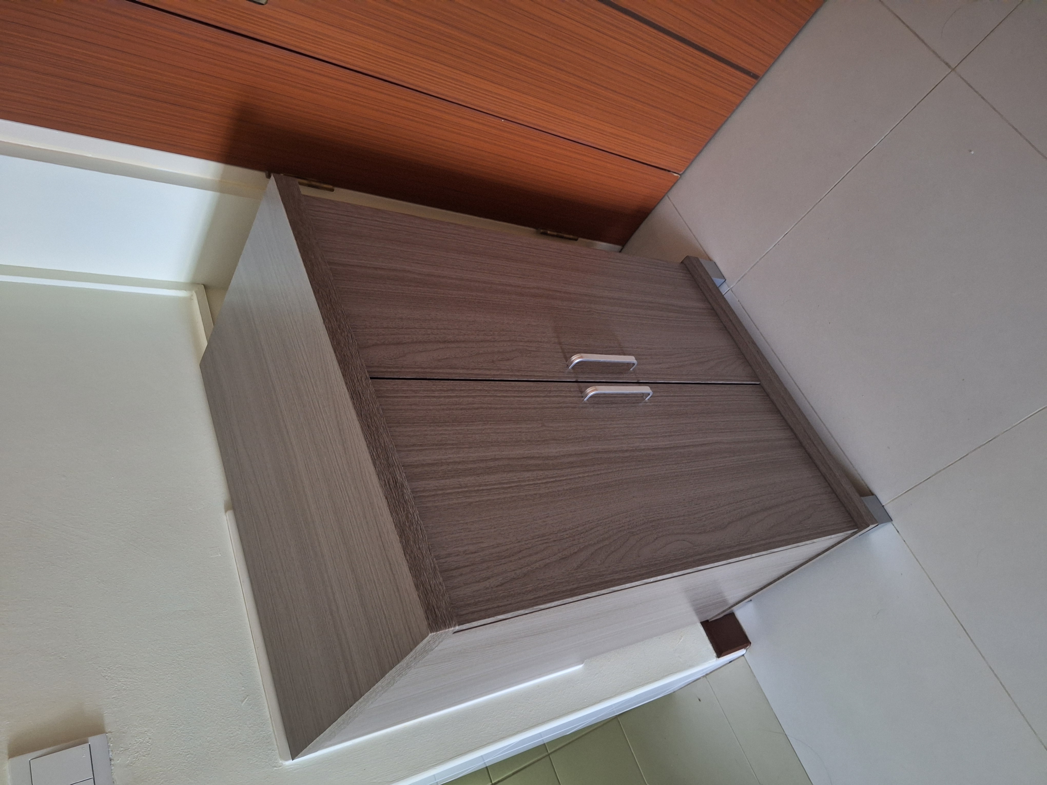 Coralyn 2 Door Shoe Cabinet