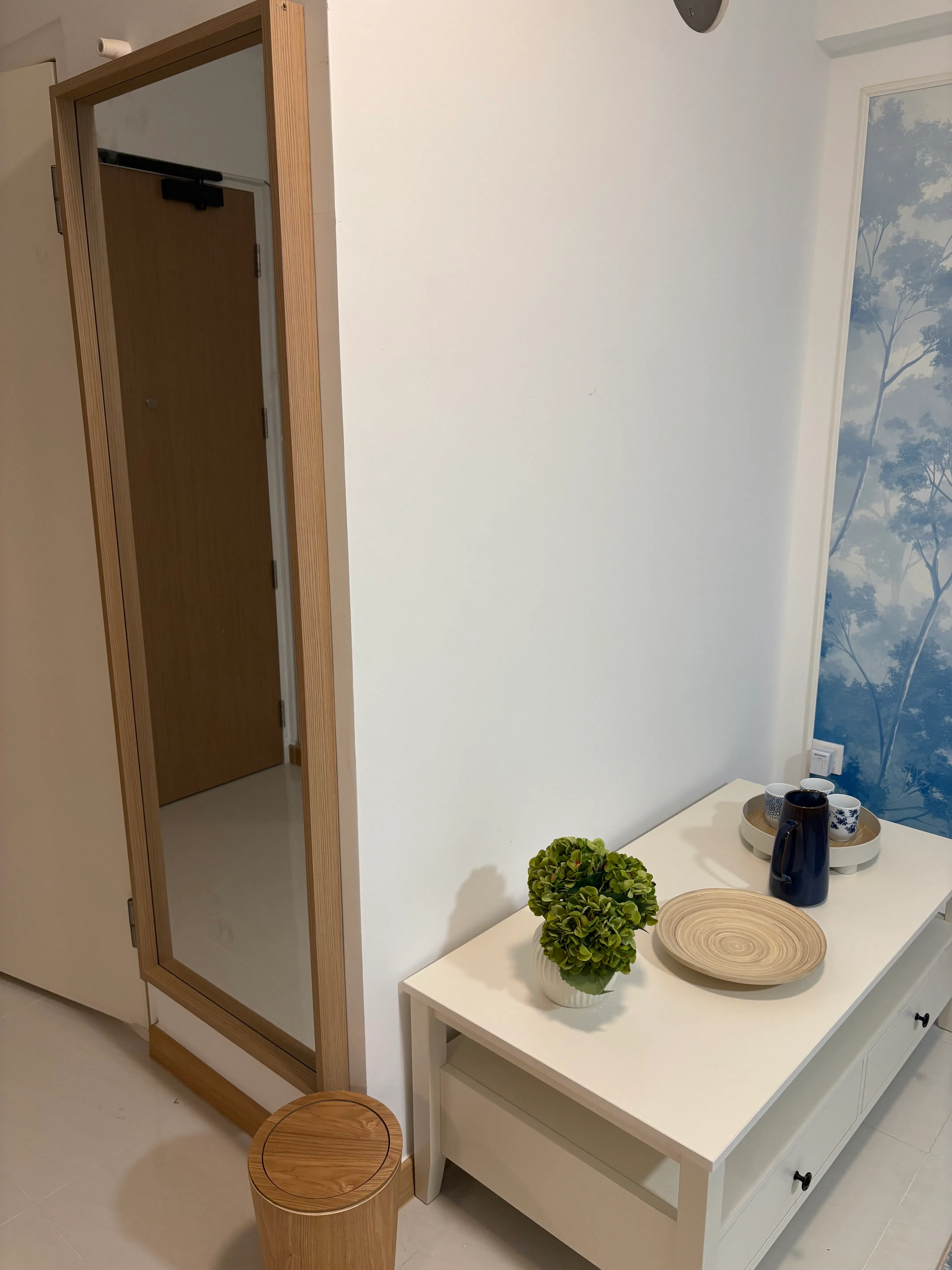 Customer home photo 1: The mirror was the perfect size for the narrow hallway we have before the door. It was a bit hard to install but you can always get a handyman to help!