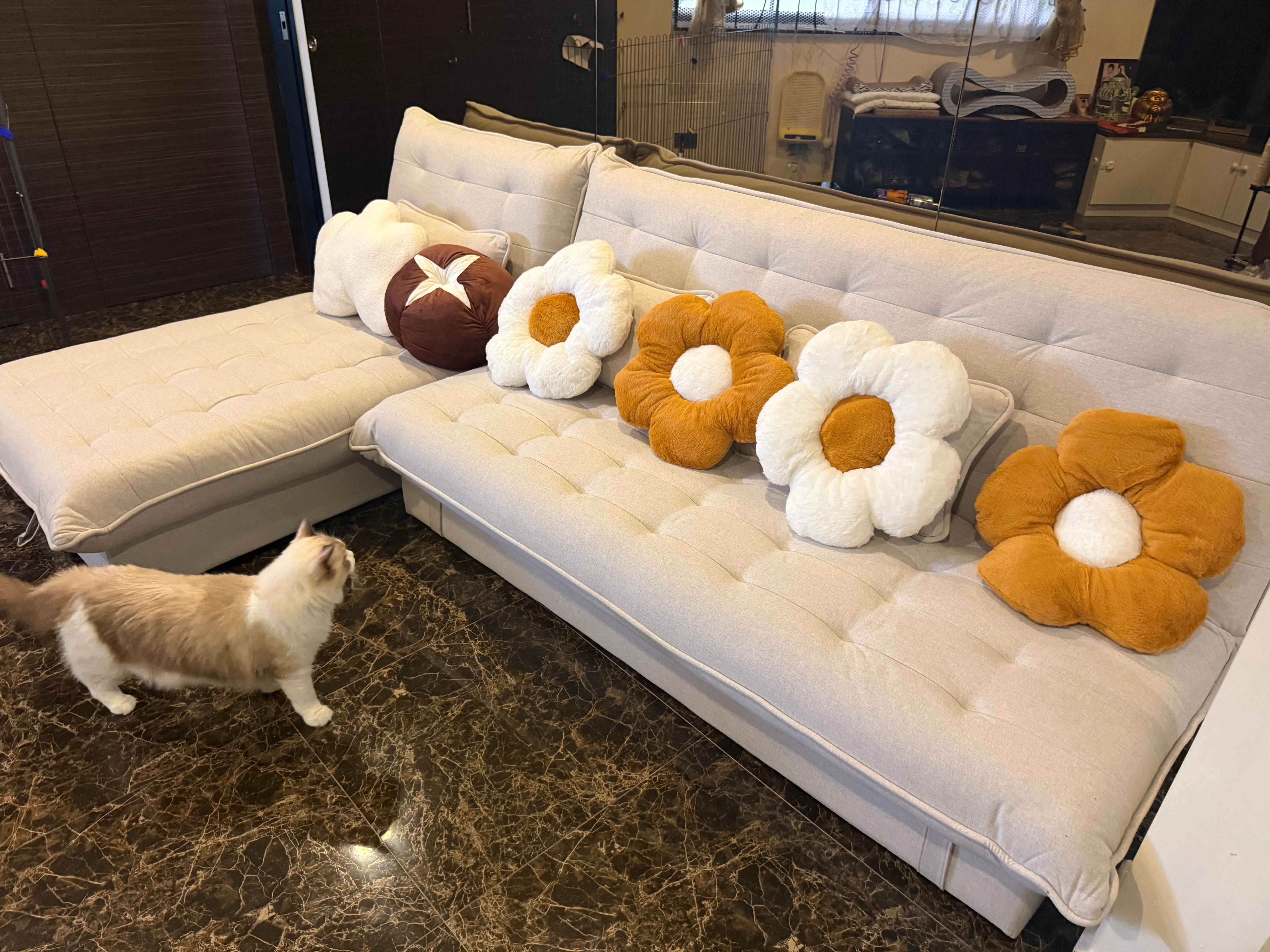 Customer home photo 1: I bought many cushions and I am so glad I did ! The flowers are soft, lovely!! Thank you Hipvan!