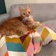 Macaron 3 Seater Left Chaise Sofa with Ottoman - Light Grey (Pet Friendly) - Macaron 3 Seater Sofa with Ottoman - Light Grey
