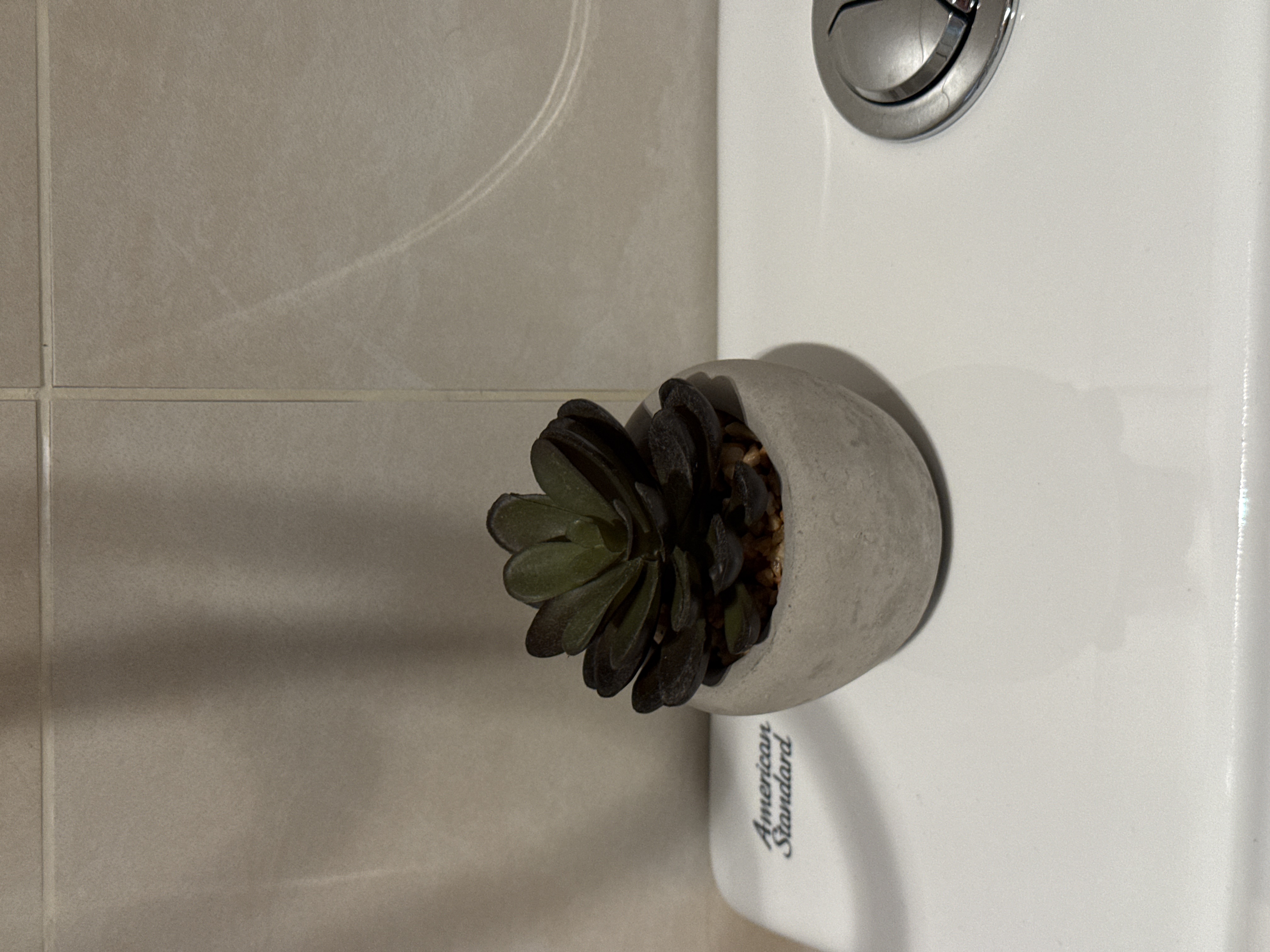 Customer home photo 2: Simple but cute little fake plant for our toilet