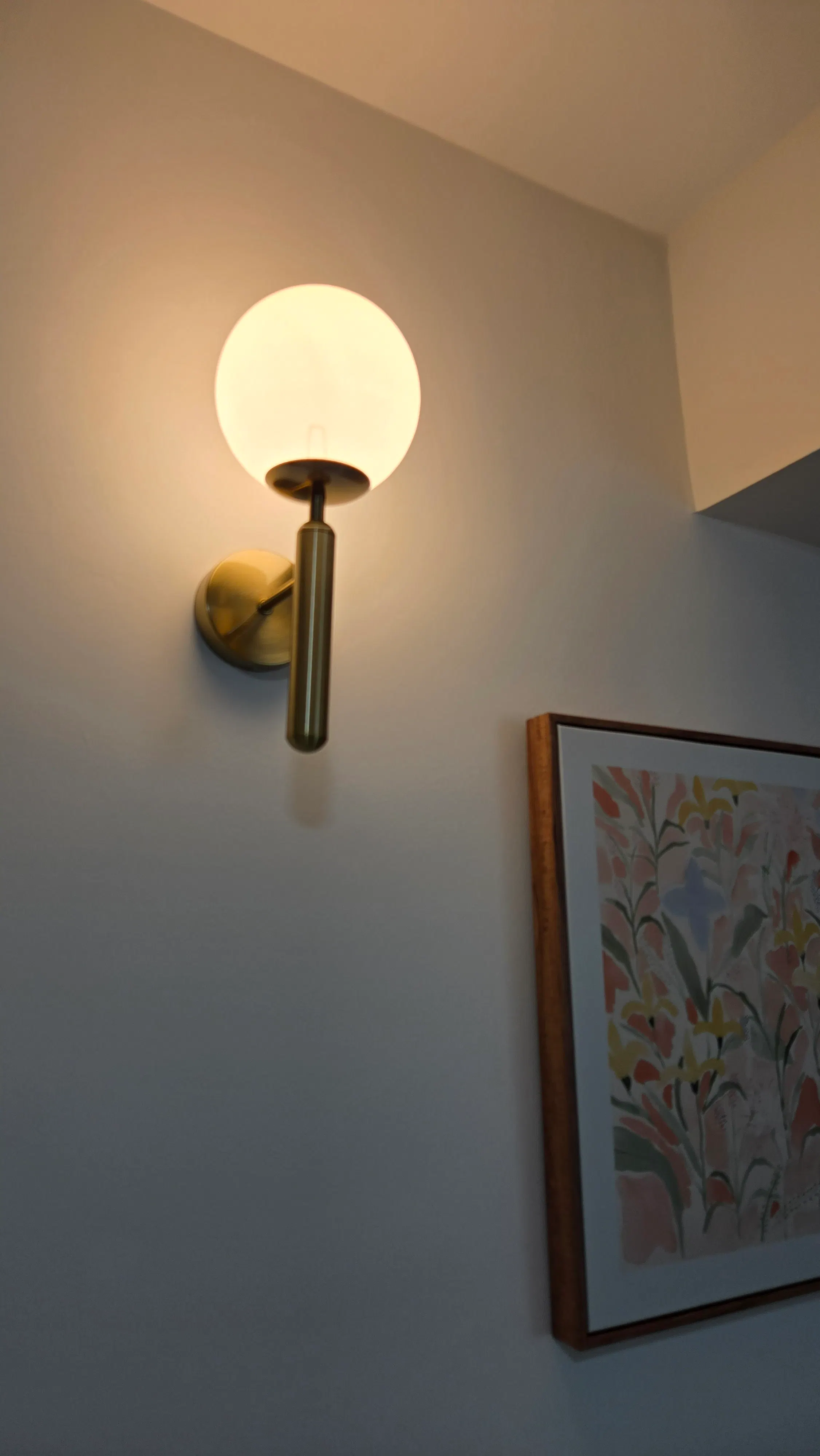 Customer home photo 1: Item received in good condition. Bought this to decor the wall along walkway.