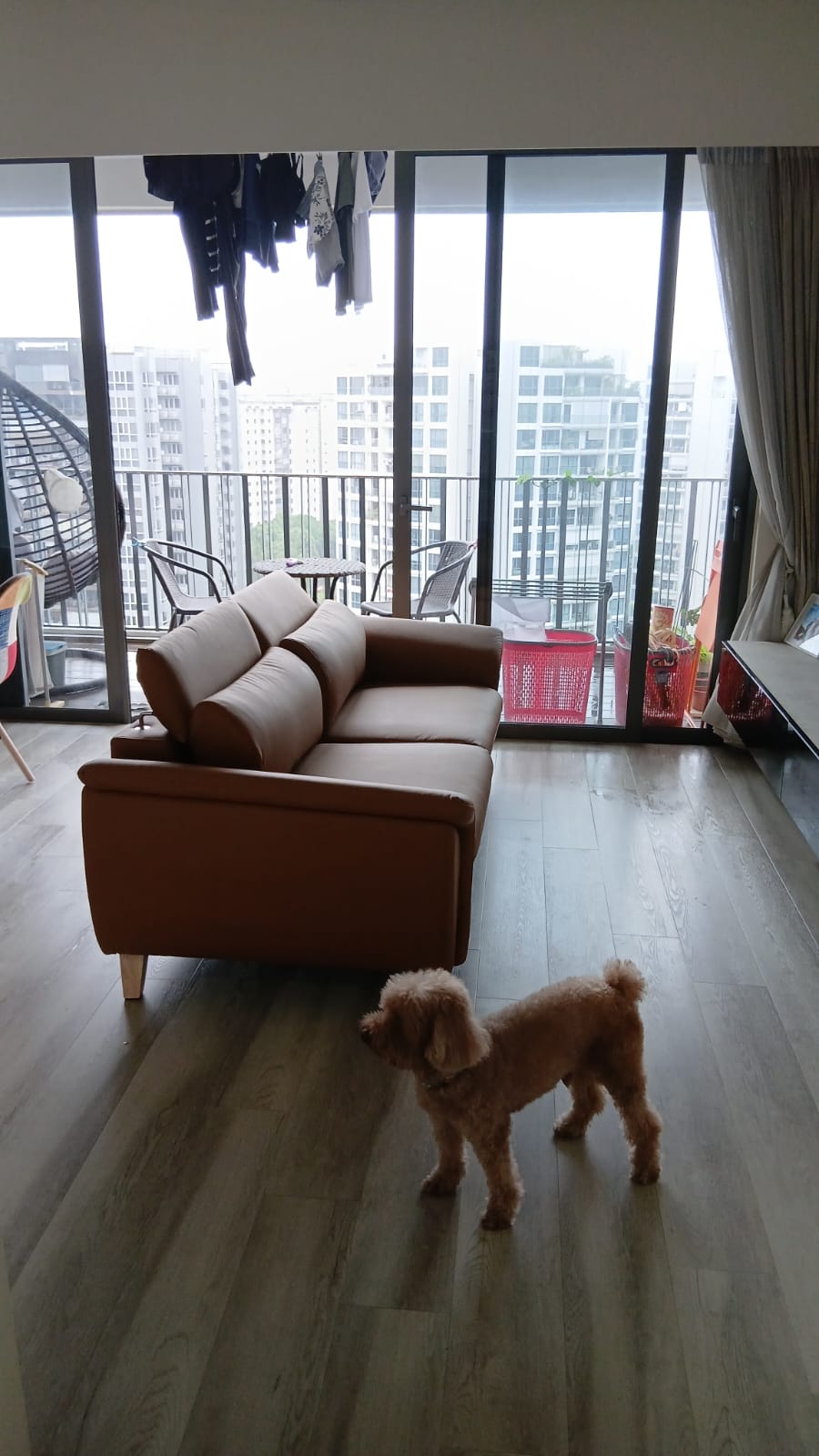 Customer home photo 6: Adjustable headrest. Pet friendly material is a plus point.