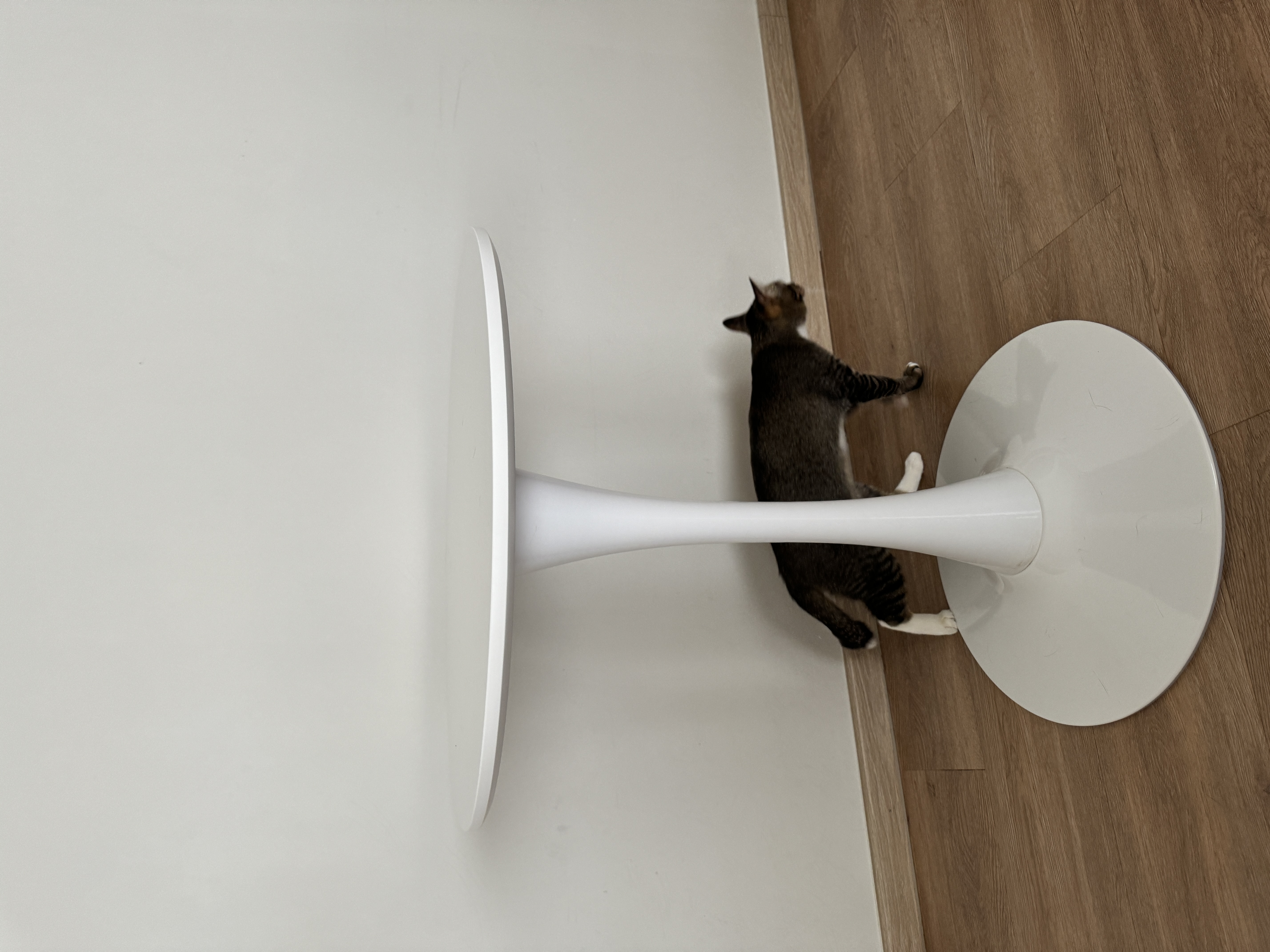 Carmen Round Dining Table 0.6m - White