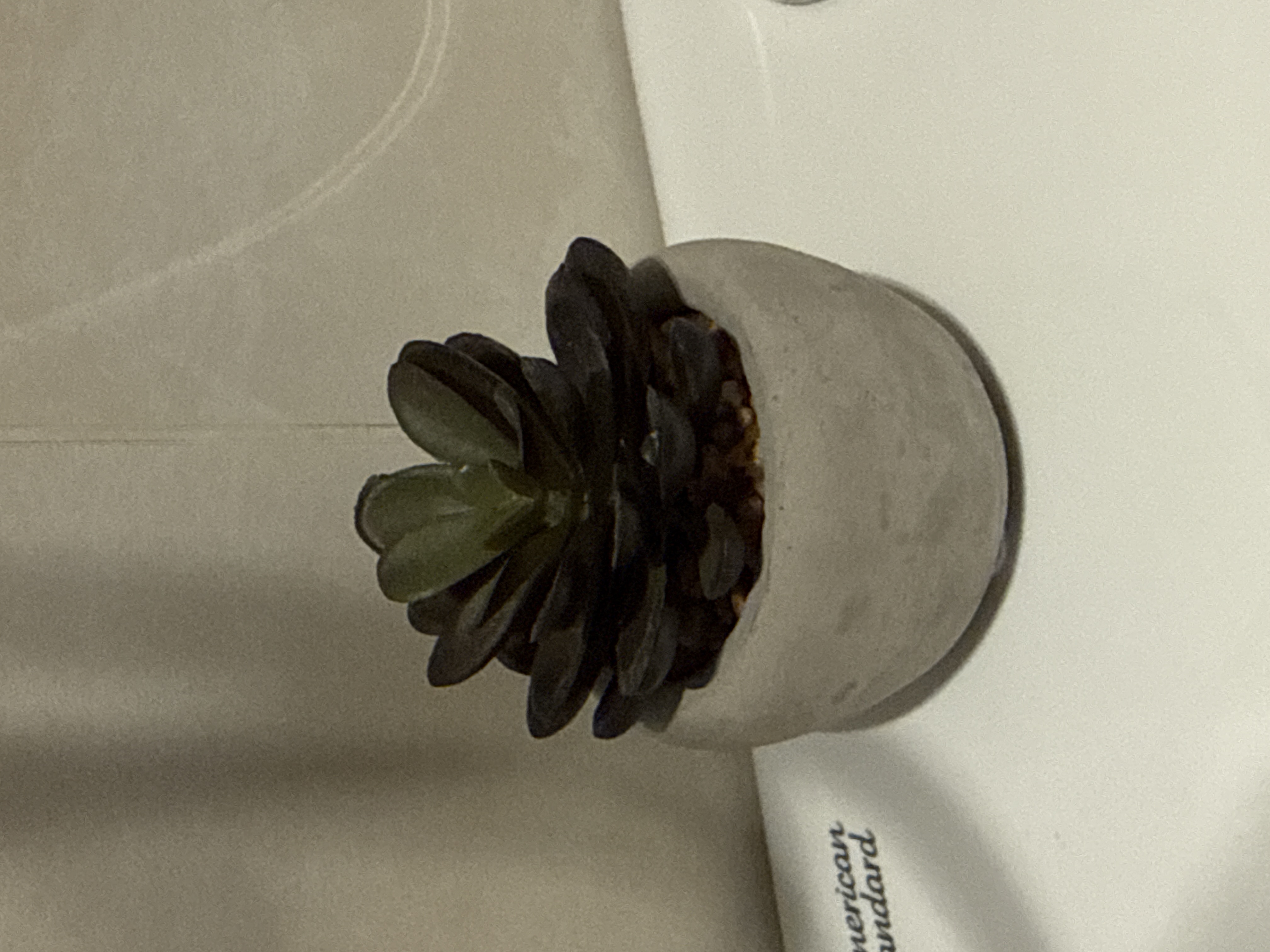 Faux Echiveria in Concrete Planter - Purple