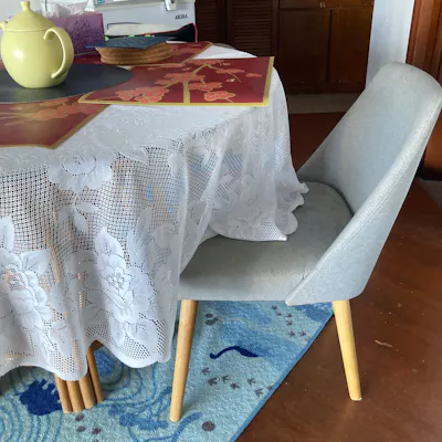 Customer home photo 8: It is the most comfortable dining chair I have ever sat on! Love the fabric and the color too! Would be even better if the seat is removable to be washed.