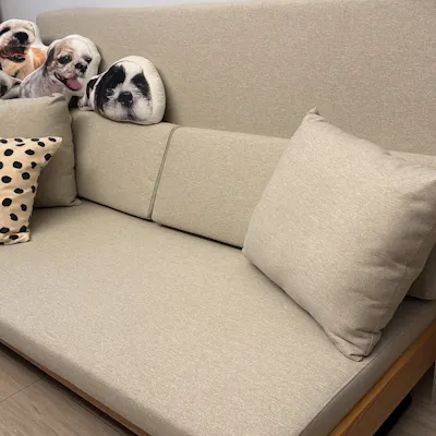 Customer home photo 3: Love how minimalist this is and turning it into a sofa bed is a breeze. Space saving as it can recline against the wall fully. Sofa is firm yet comfy.