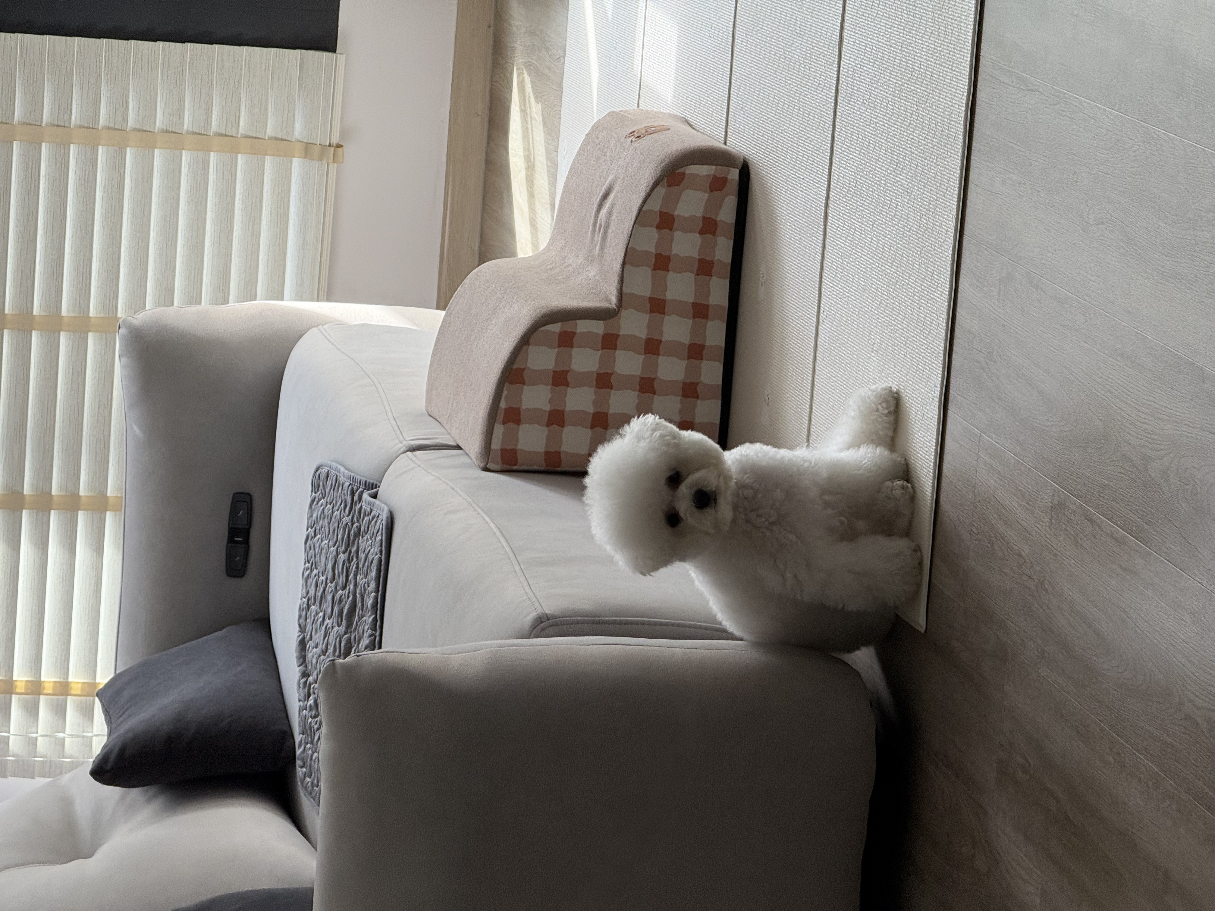 Customer home photo 2: Our dog loves the sofa alot!