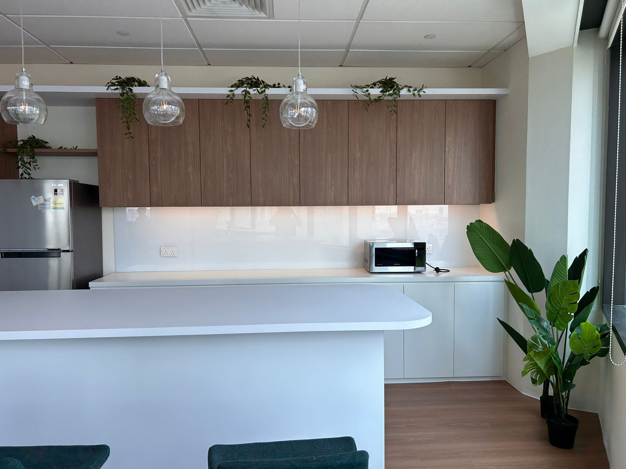 Customer home photo 4: good quality sturdy plants