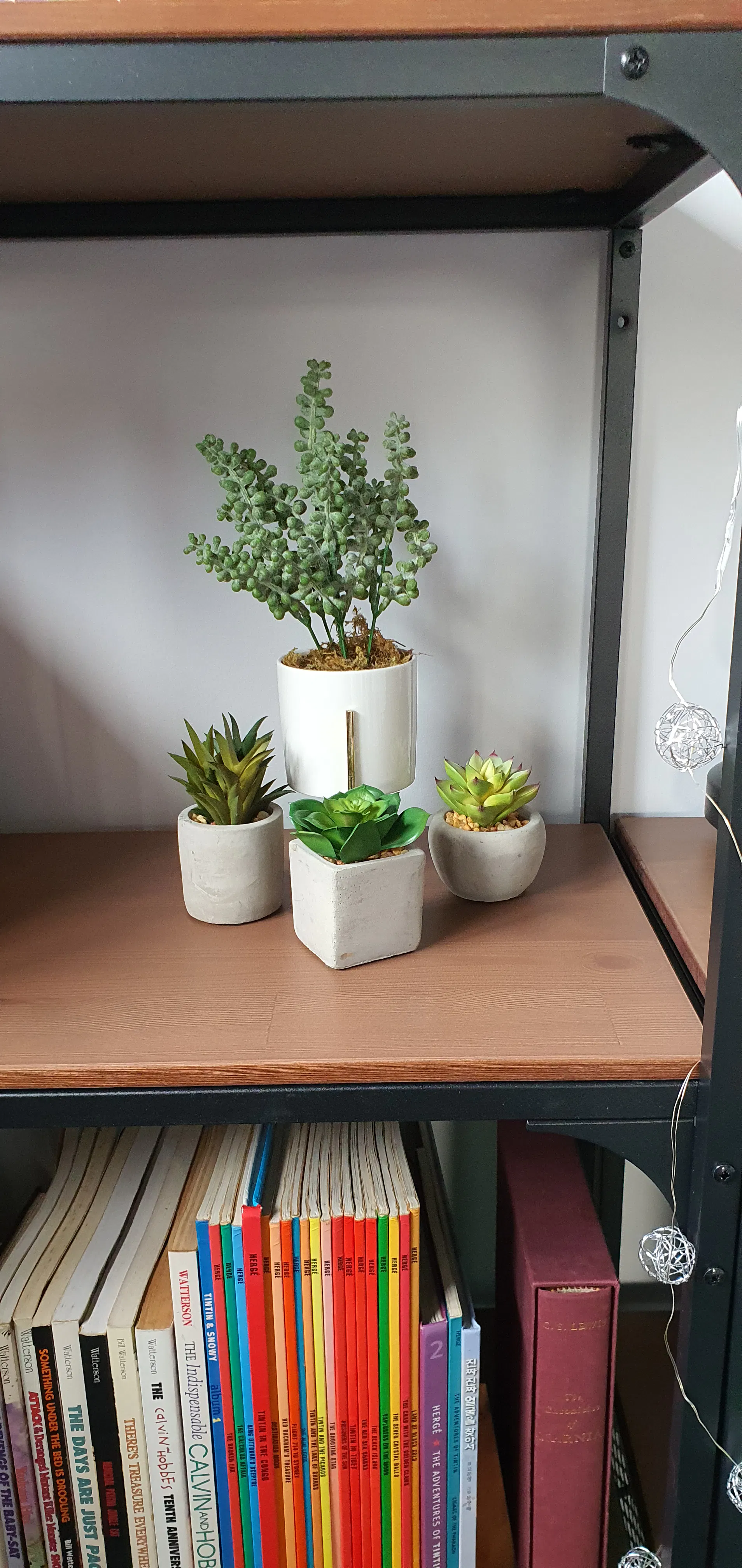 Customer home photo 7: Love the faux plants, quirky and zero maintenance,  yet great quality.