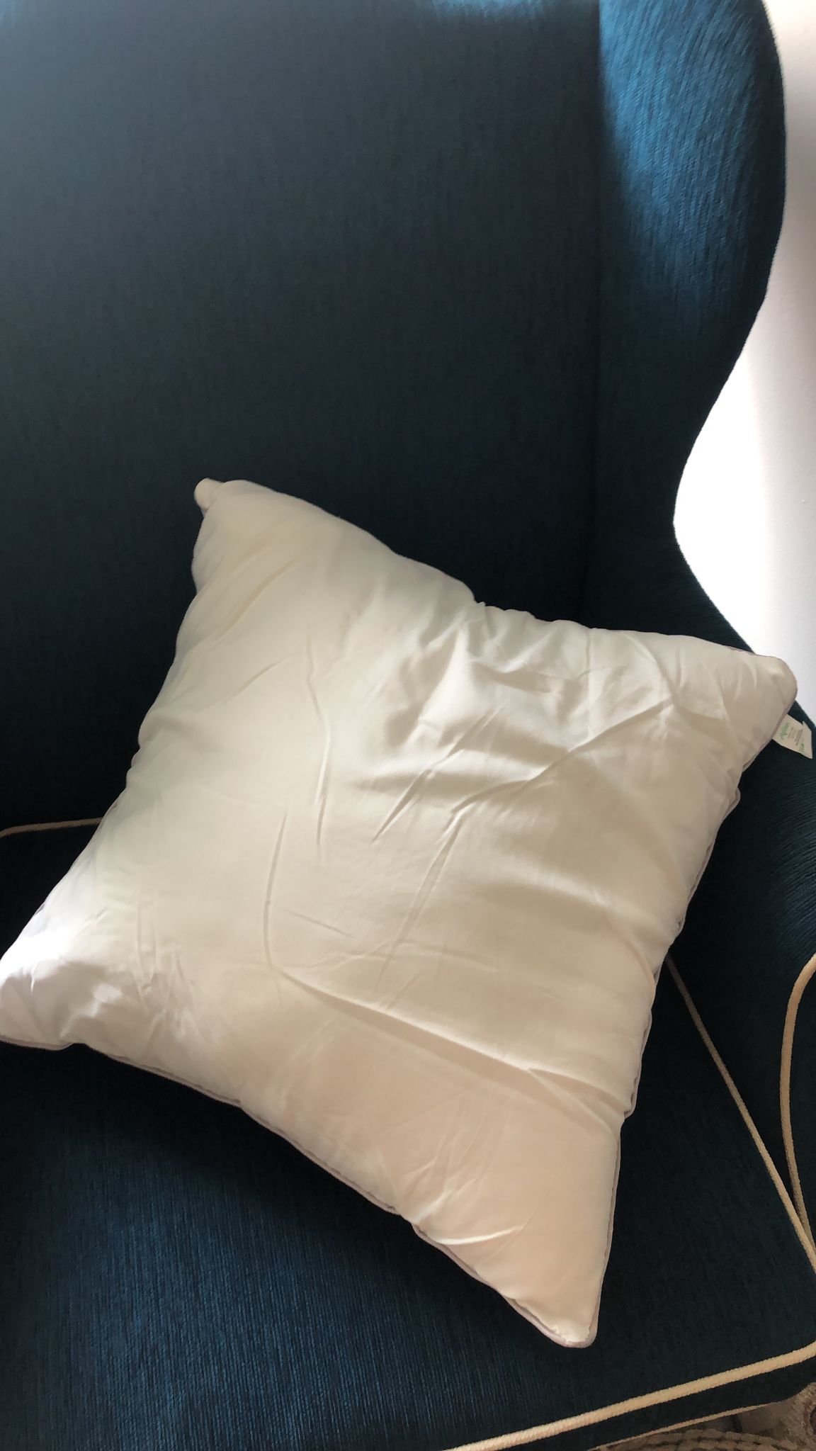 Customer home photo 29: Does it's job well as a cushion, full and not easily deflated.