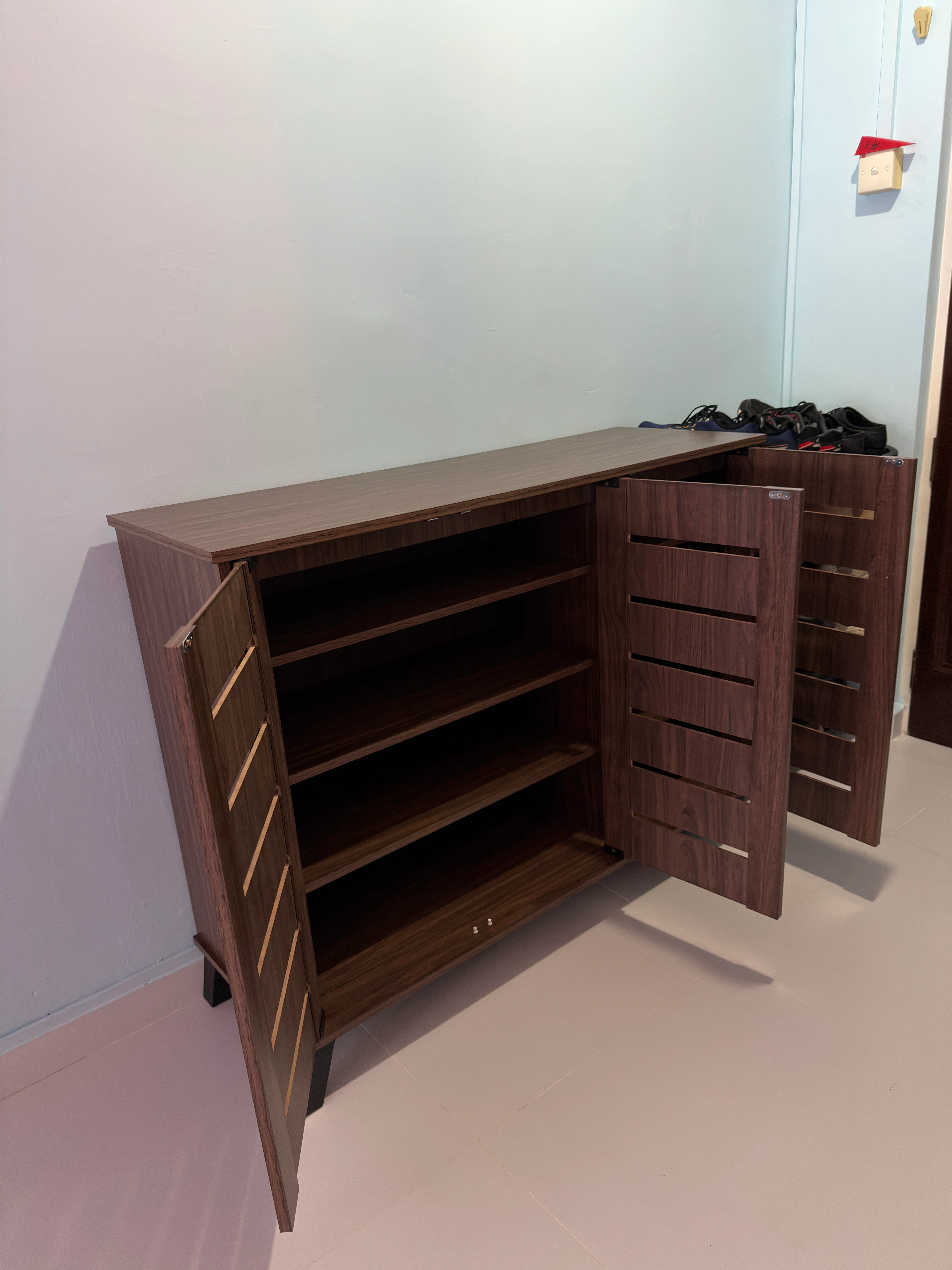 Issoria 3 Door Shoe Cabinet