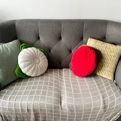 Customer home photo 18: Cushion insert that came with the jade coloured cover. Love the texture. Highly recommend.