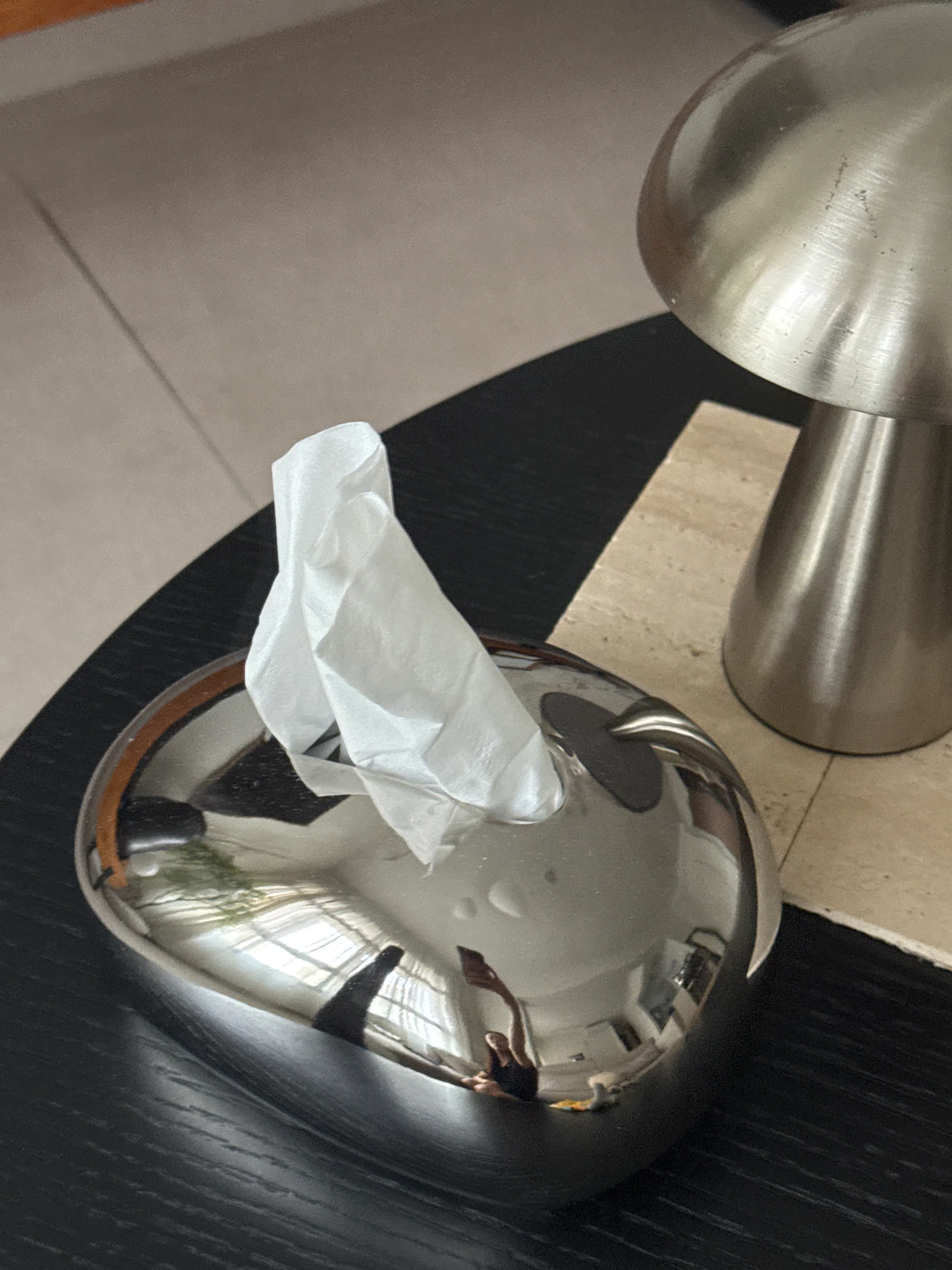Pebble Shaped Tissue Box, Ceramic - Chrome