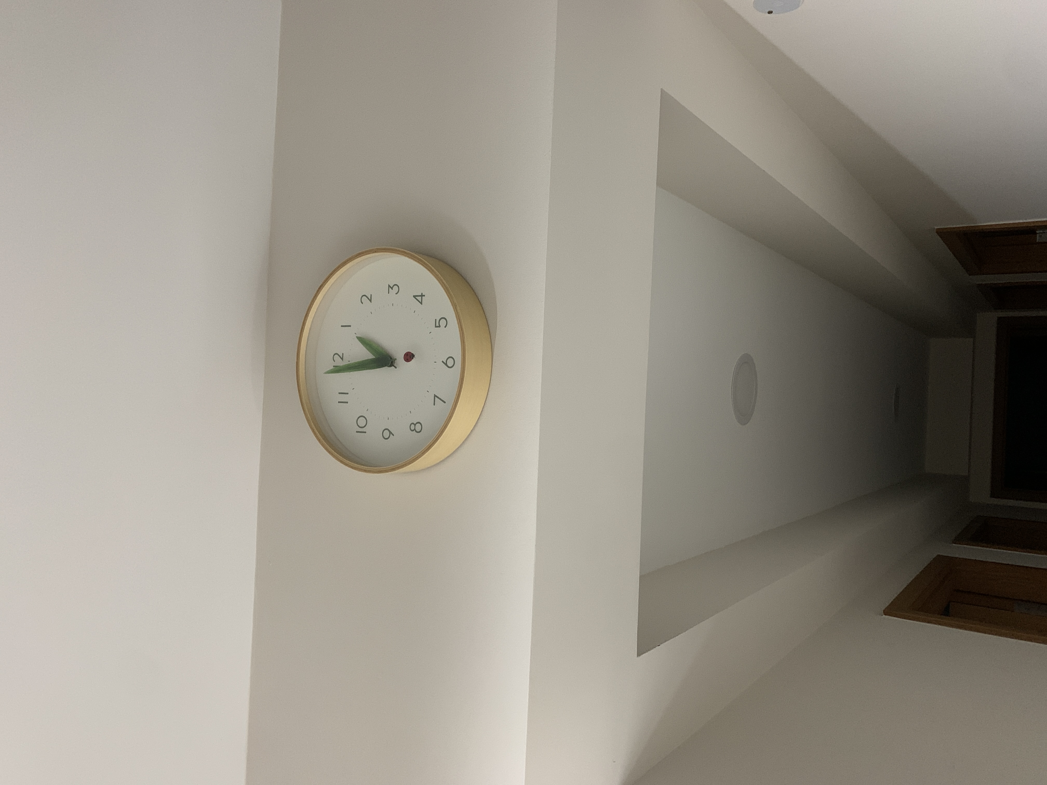 Customer home photo 3: Love the clock very much as I love the ladybug.