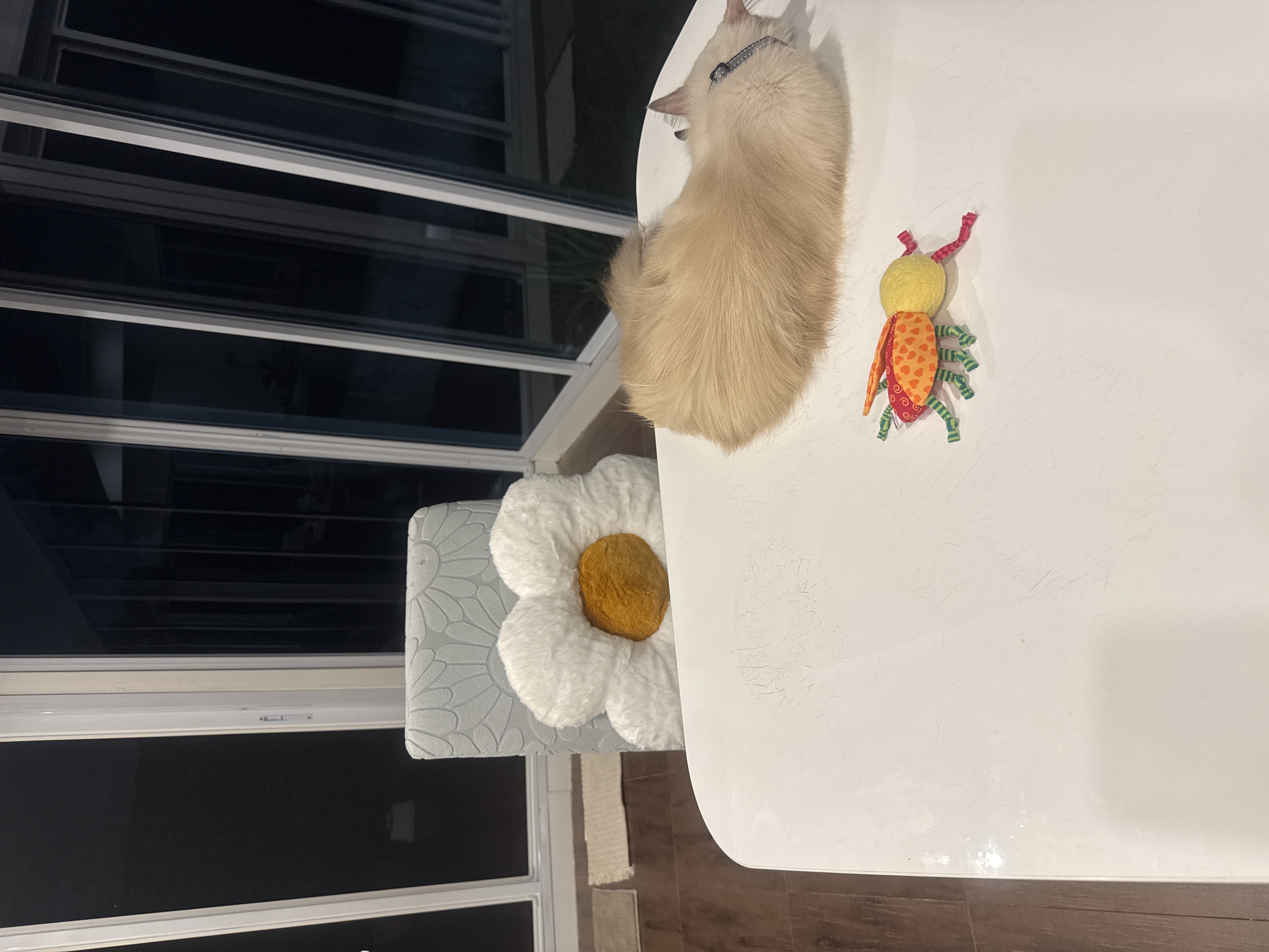 Customer home photo 5: So cute the cushion .. love it !!