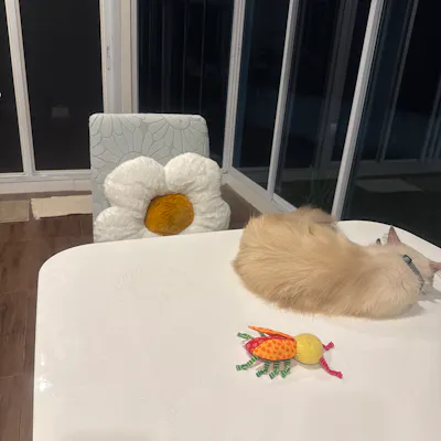 Customer home photo 5: So cute the cushion .. love it !!