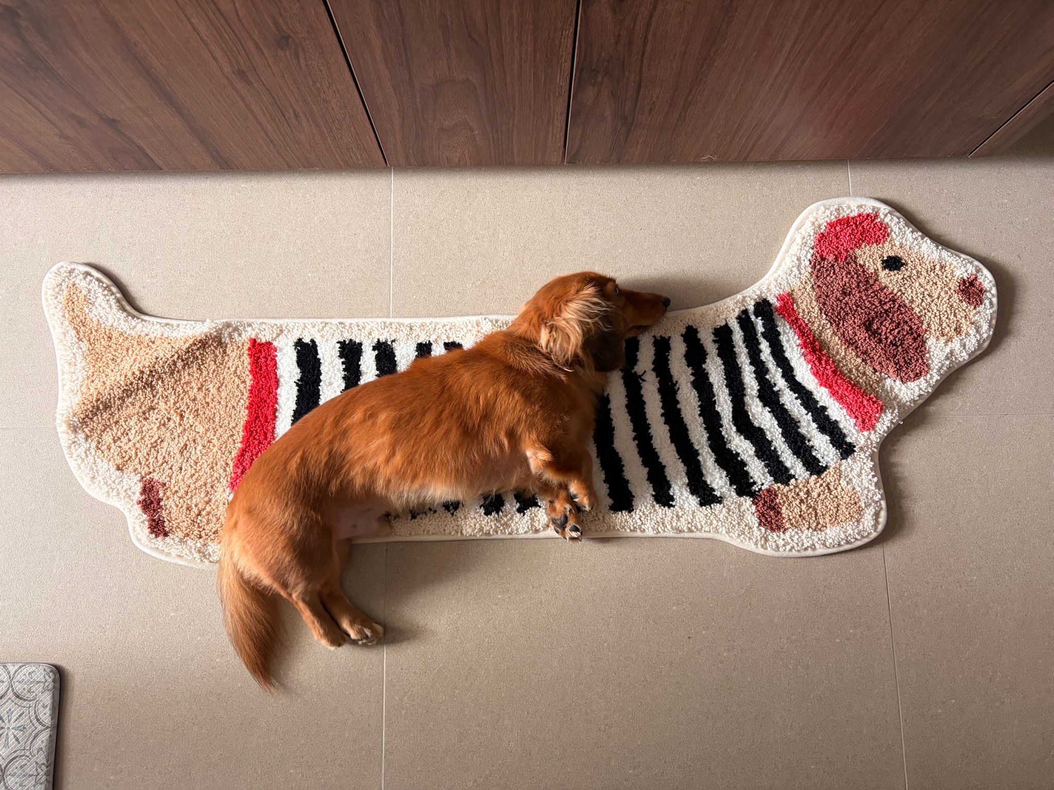 Customer home photo 1: Very fluffy and cute mat!
