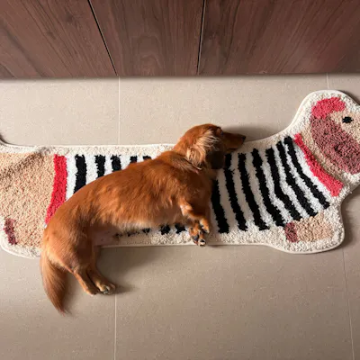 Customer home photo 1: Very fluffy and cute mat!