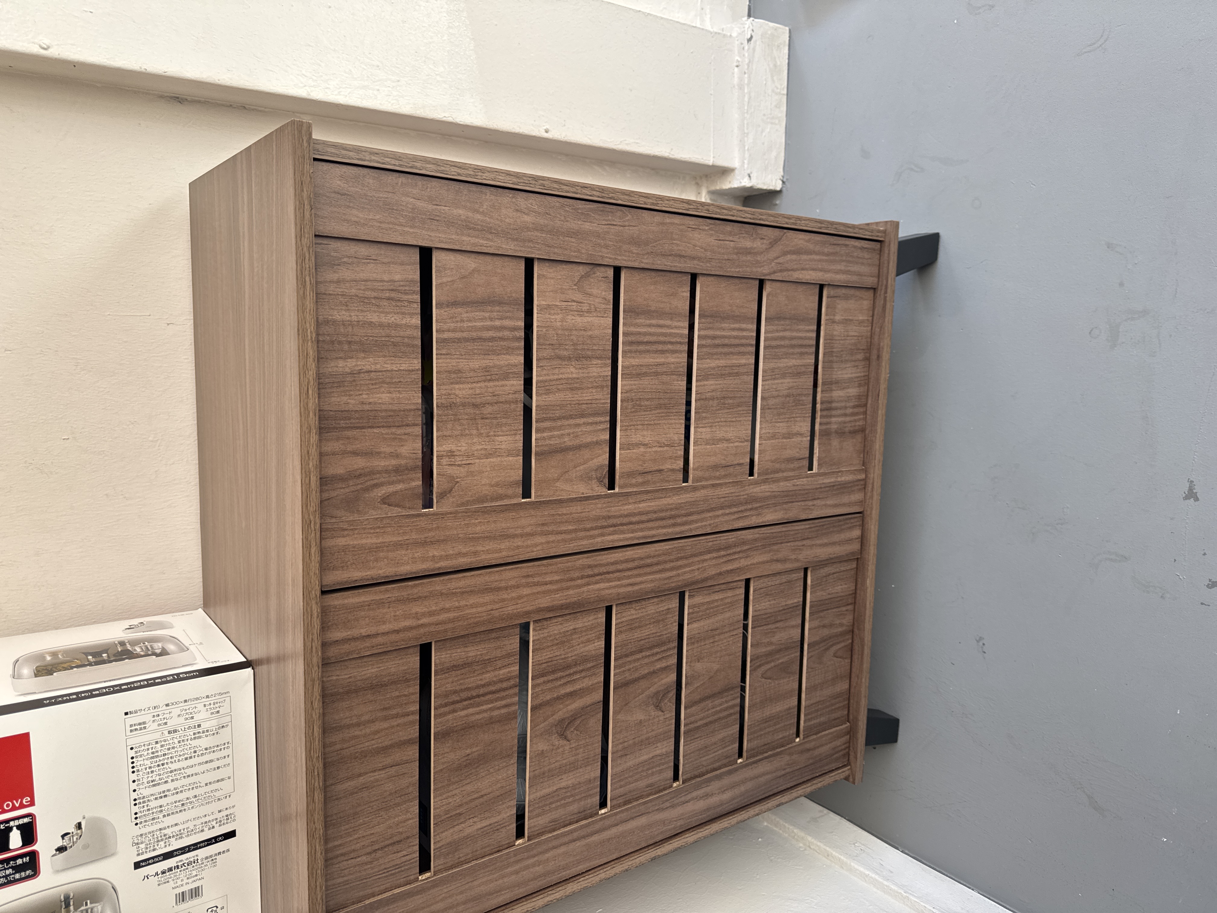 Issoria 2 Door Shoe Cabinet
