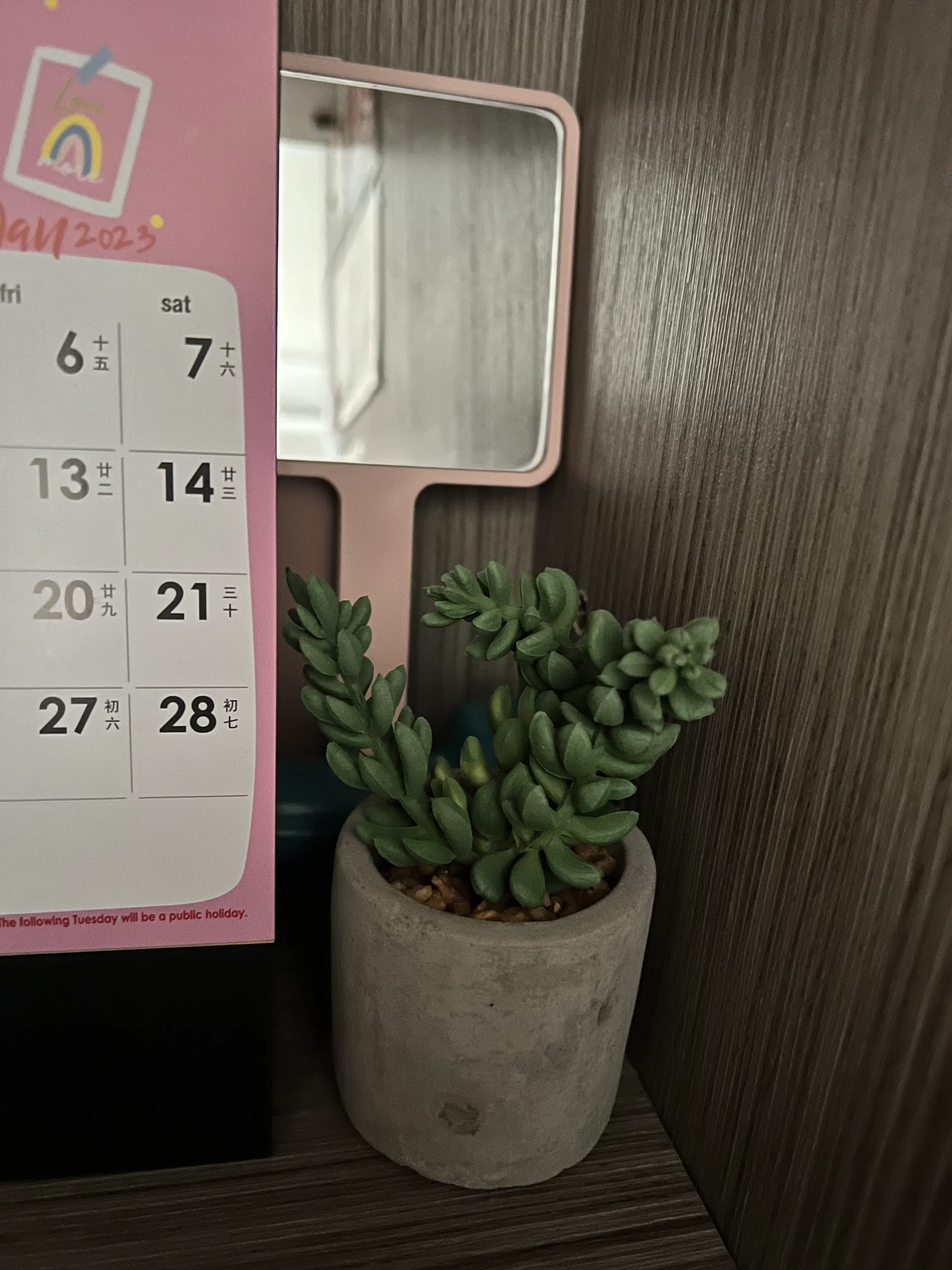 Customer home photo 3: love this cute planter for deco on my dressing table. Lifts my mood whenever I see it.