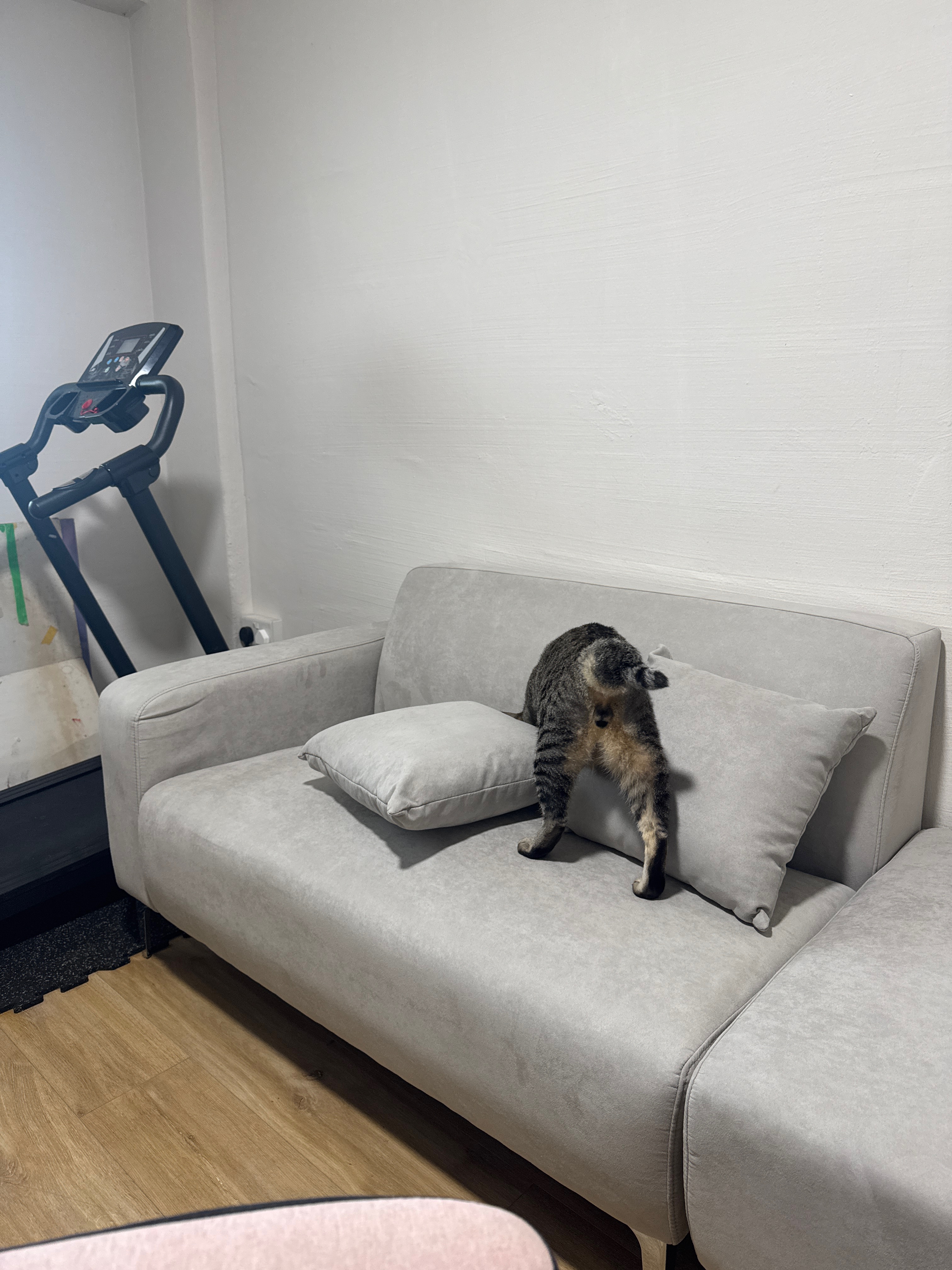 Customer home photo 35: Nice material and cat-friendly (so far), the sofa is a little hard though!
