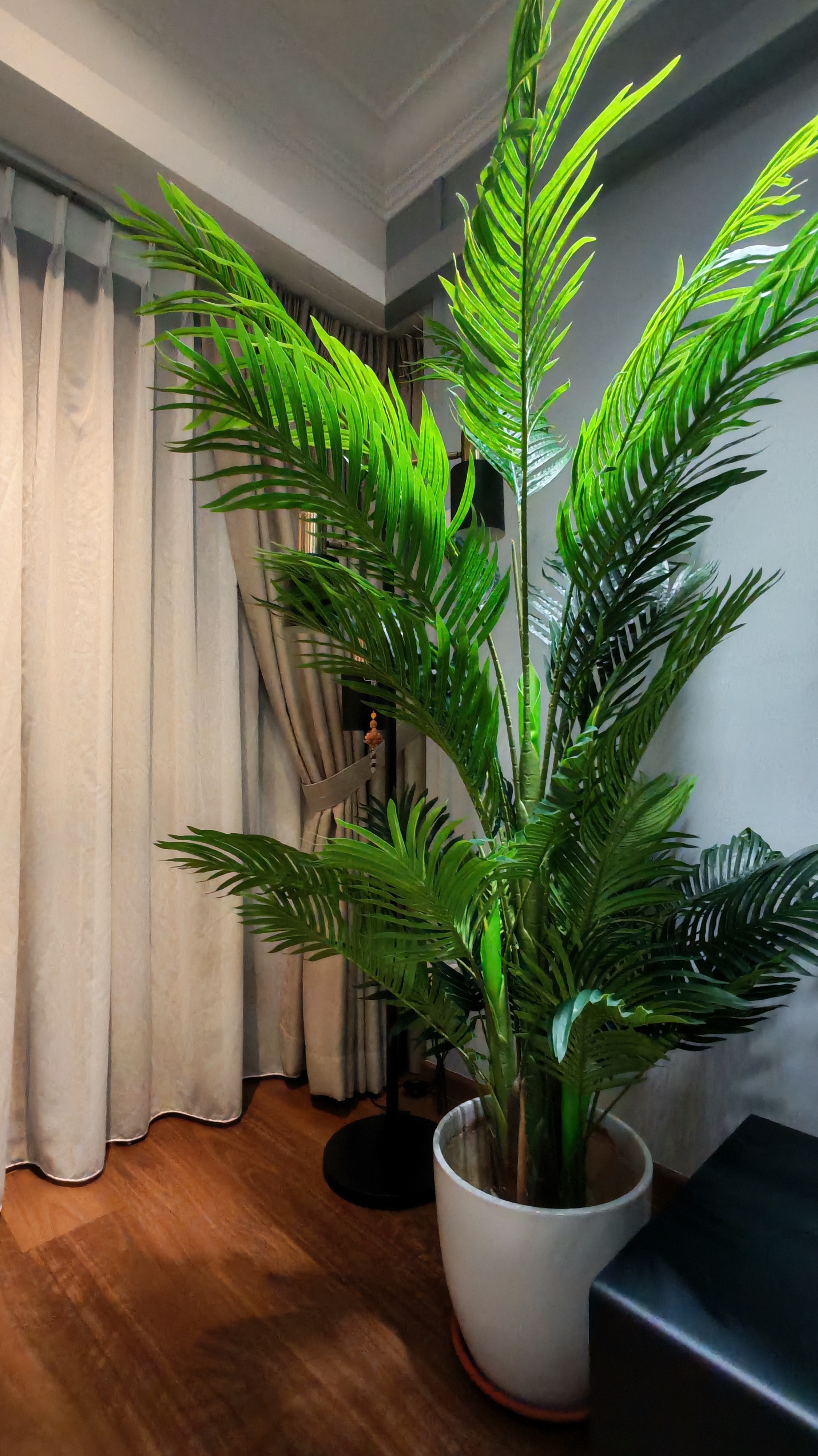 Customer home photo 7: A great choice if you want the look of lush greenery with minimum effort. It looks particularly well in indoor spaces, hallways or corners that might otherwise feel bare. It instantly brighten up the corner it sits in and adds a tropival, relaxed vibe. The build feels sturdy overall, with good height and presence.