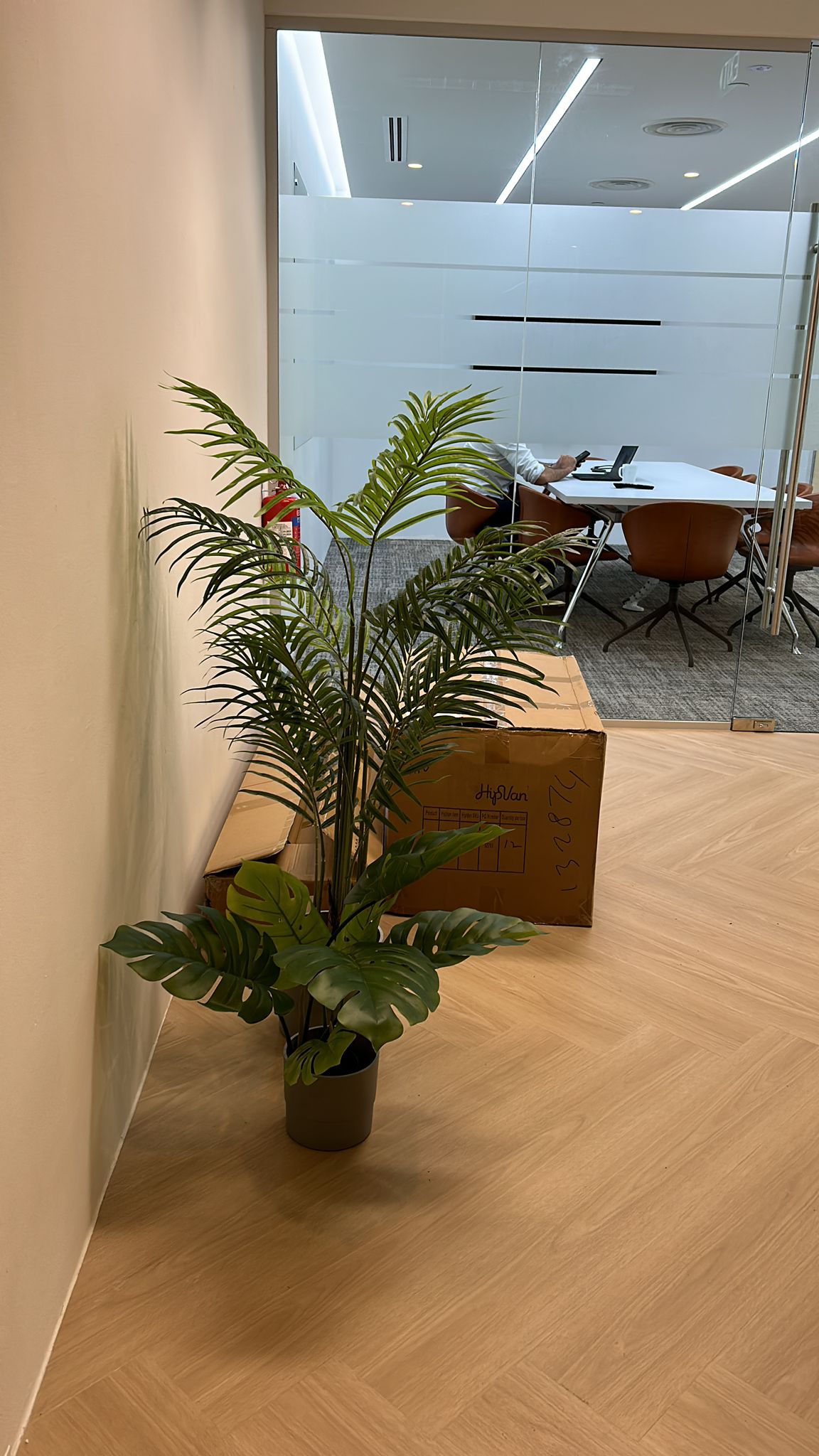 Customer home photo 10: good quality sturdy plants
