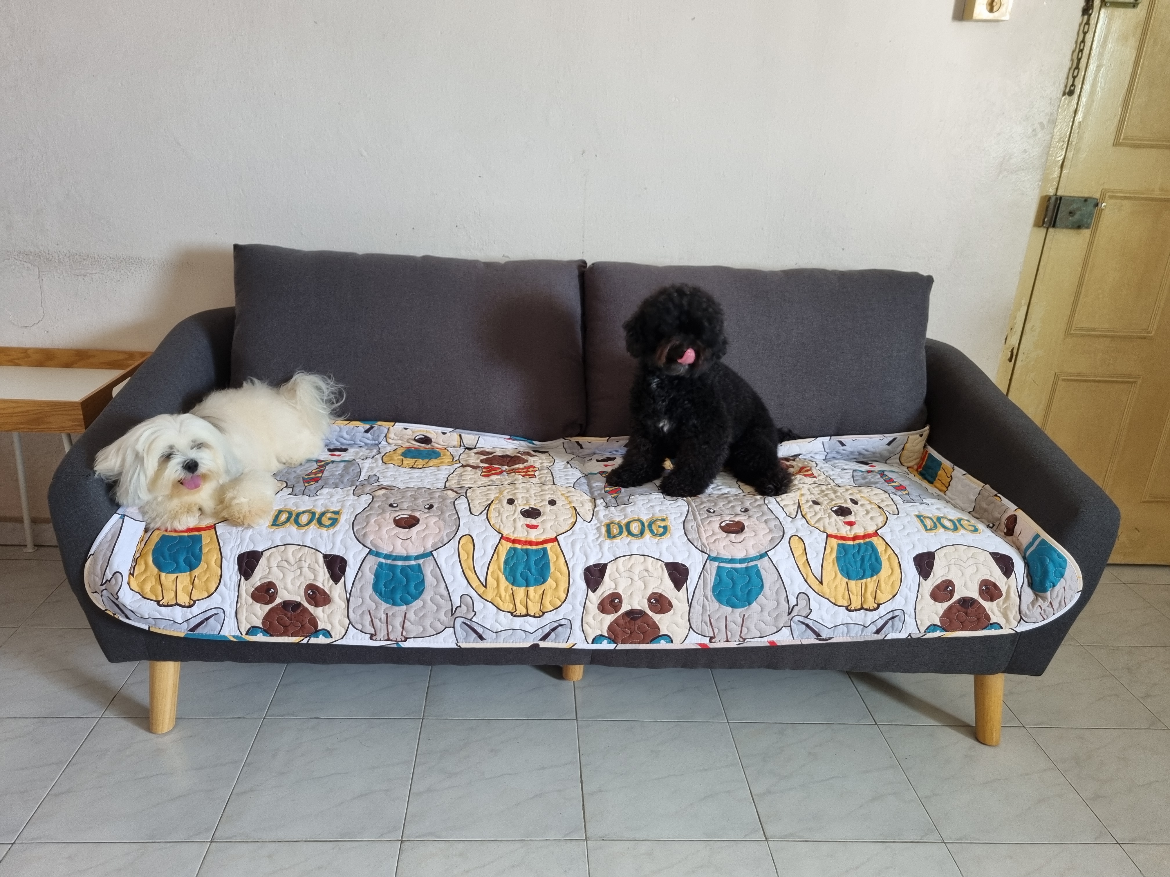Customer home photo 14: Had to get a new sofa as my present sofa was giving way. Read the positive reviews on the Hana 3 seater sofa and opted for the charcoal which was a lovely dark grey. It is comfy and even my dogs approved of it.  Received a msg two days before the delivery date to inform me I will be given the estimated delivery time for the actual day. But I did not receive it. So I called hotline to check and was told between 11 am to 1 pm
The sofa was delivered at 11 am and it set up by the delivery guys too. My first buy from HipVan and it was a good experience.