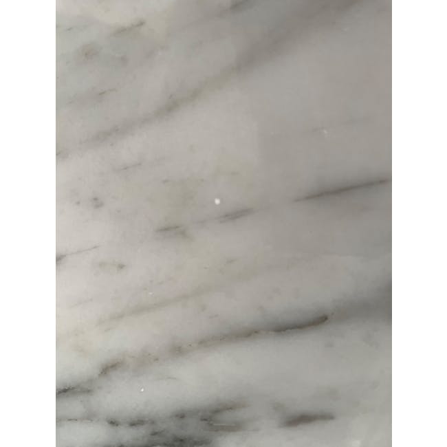 (As-is) Carson Marble Dining Table 2m - 1 - 13