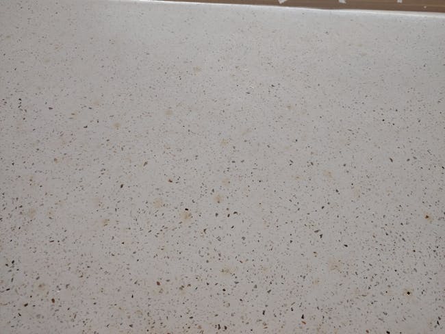 (As-is) Ellie Terrazzo Dining Table 1.8m - 4