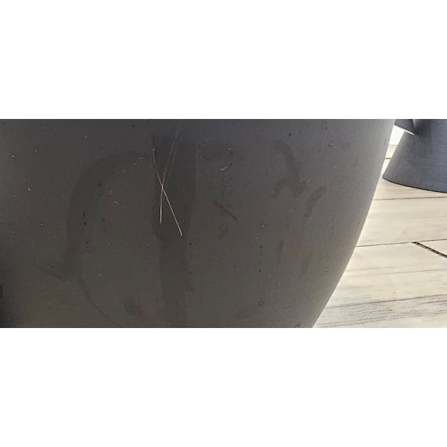 (As-is) Sven Bell Pendant Lamp - Black - 5 - Large concrete planter, small twigs, dark surface, light-colored floor, natural