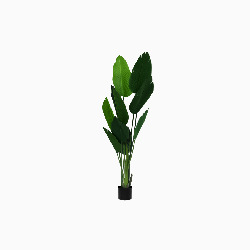 Garden Decor