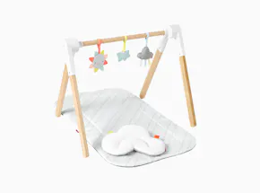 Baby Toys (0-6 months+)